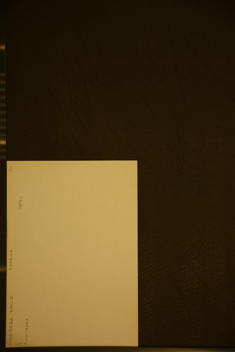 [ kuvat/371.jpg ]