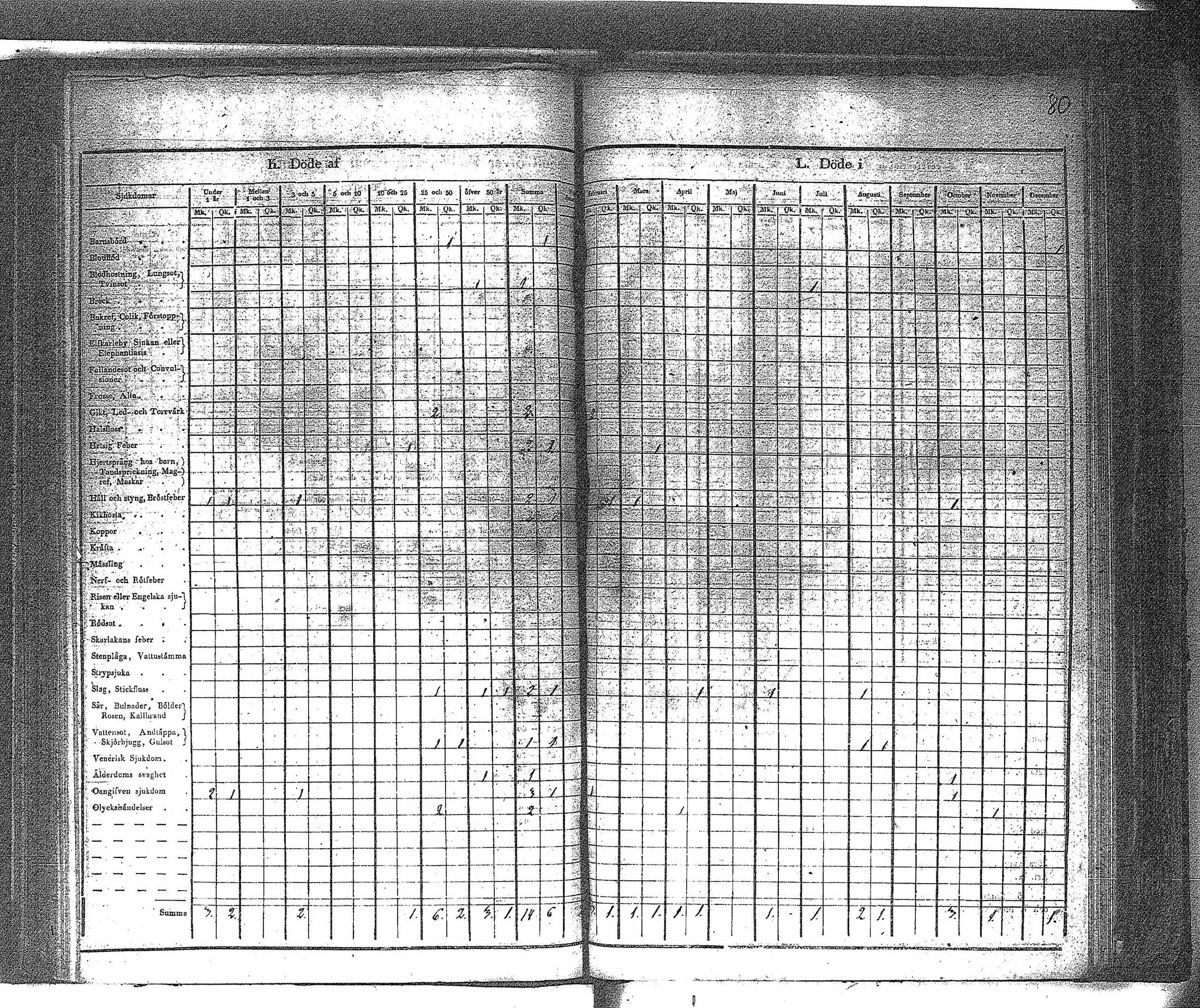 [ kuvat/83.jpg ]