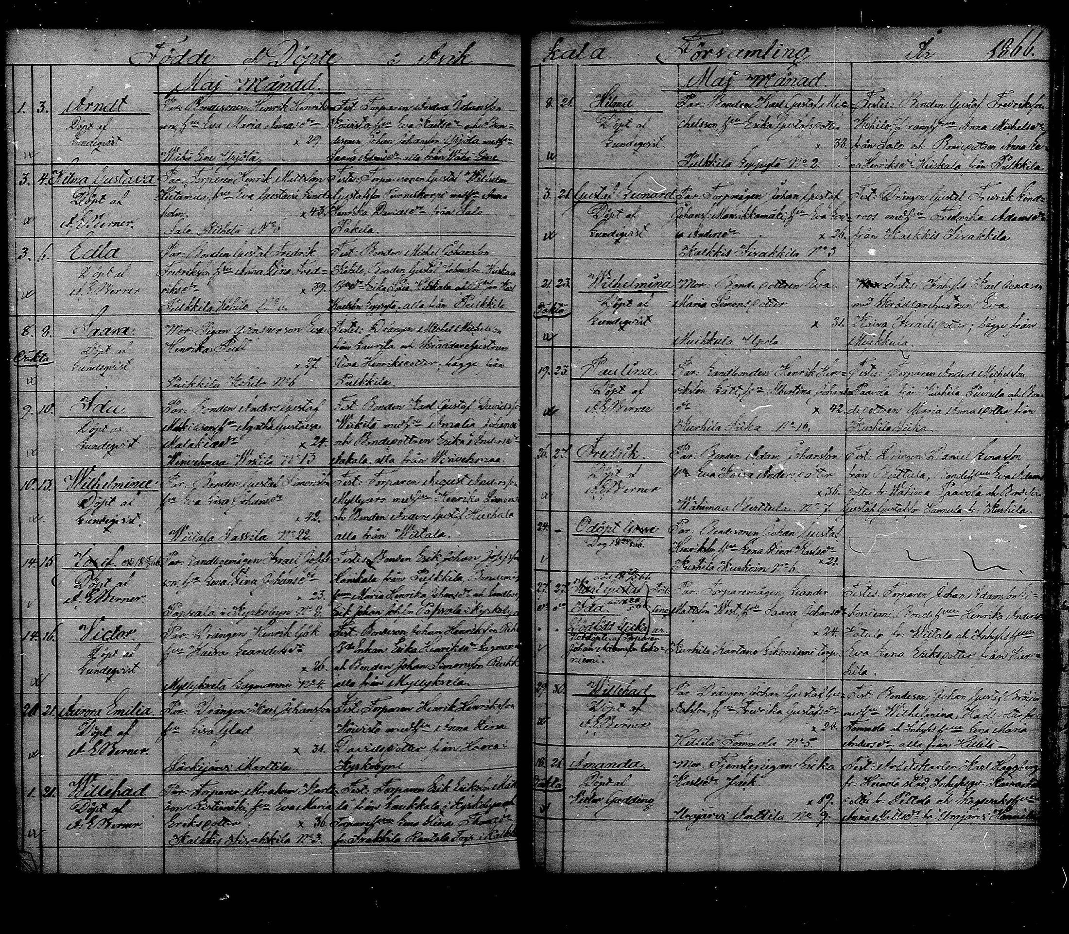[ kuvat/115.jpg ]
