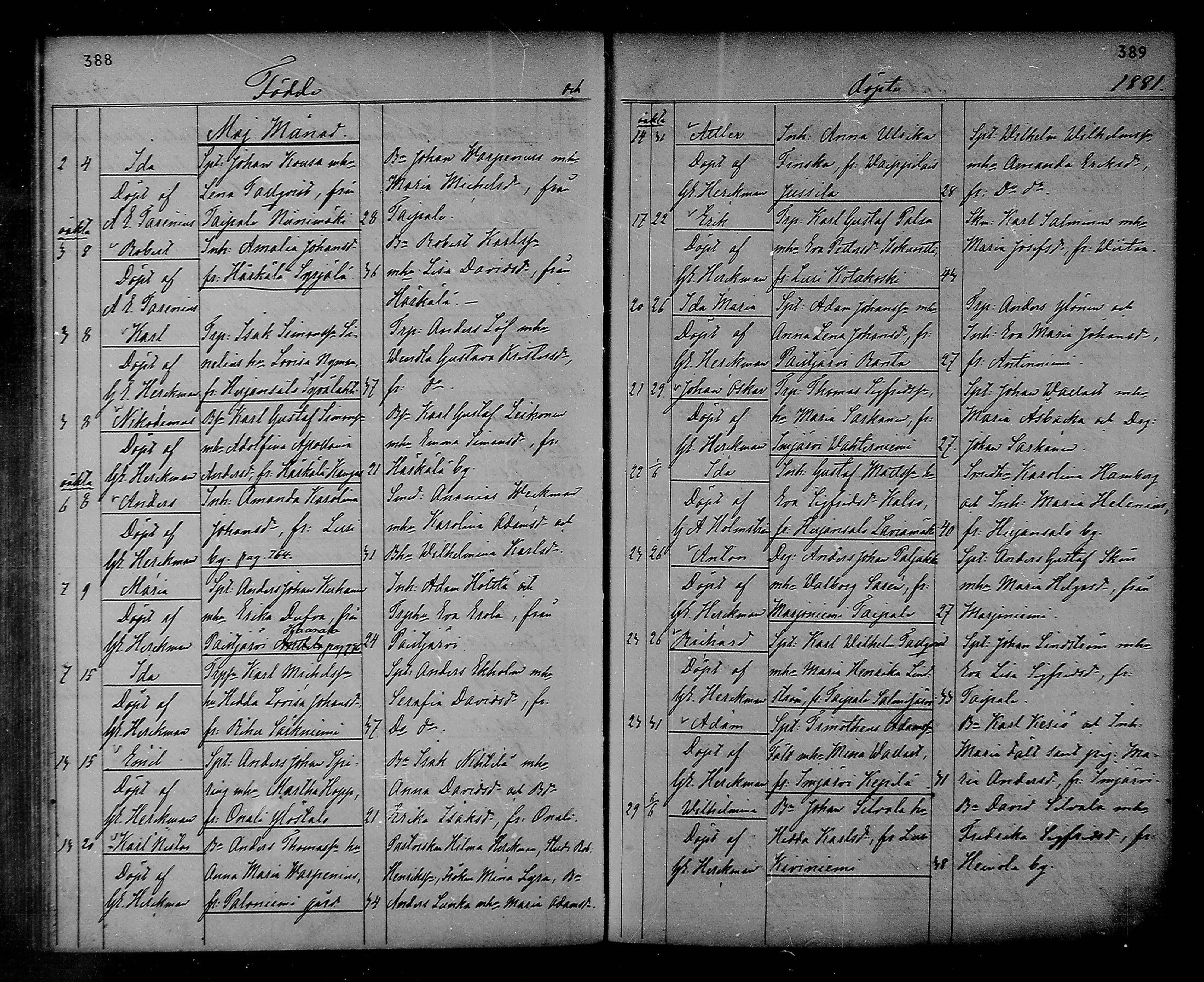 [ ../kirjat/Kirkonkirjat/heinola/syntyneet_1867-1885_msrk_mko50-58/kuvat/195.jpg ]