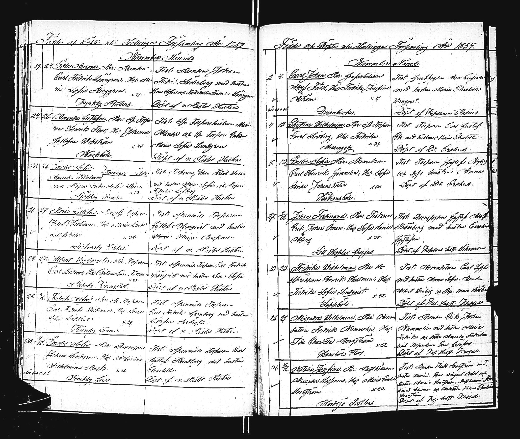 [ kuvat/197.jpg ]