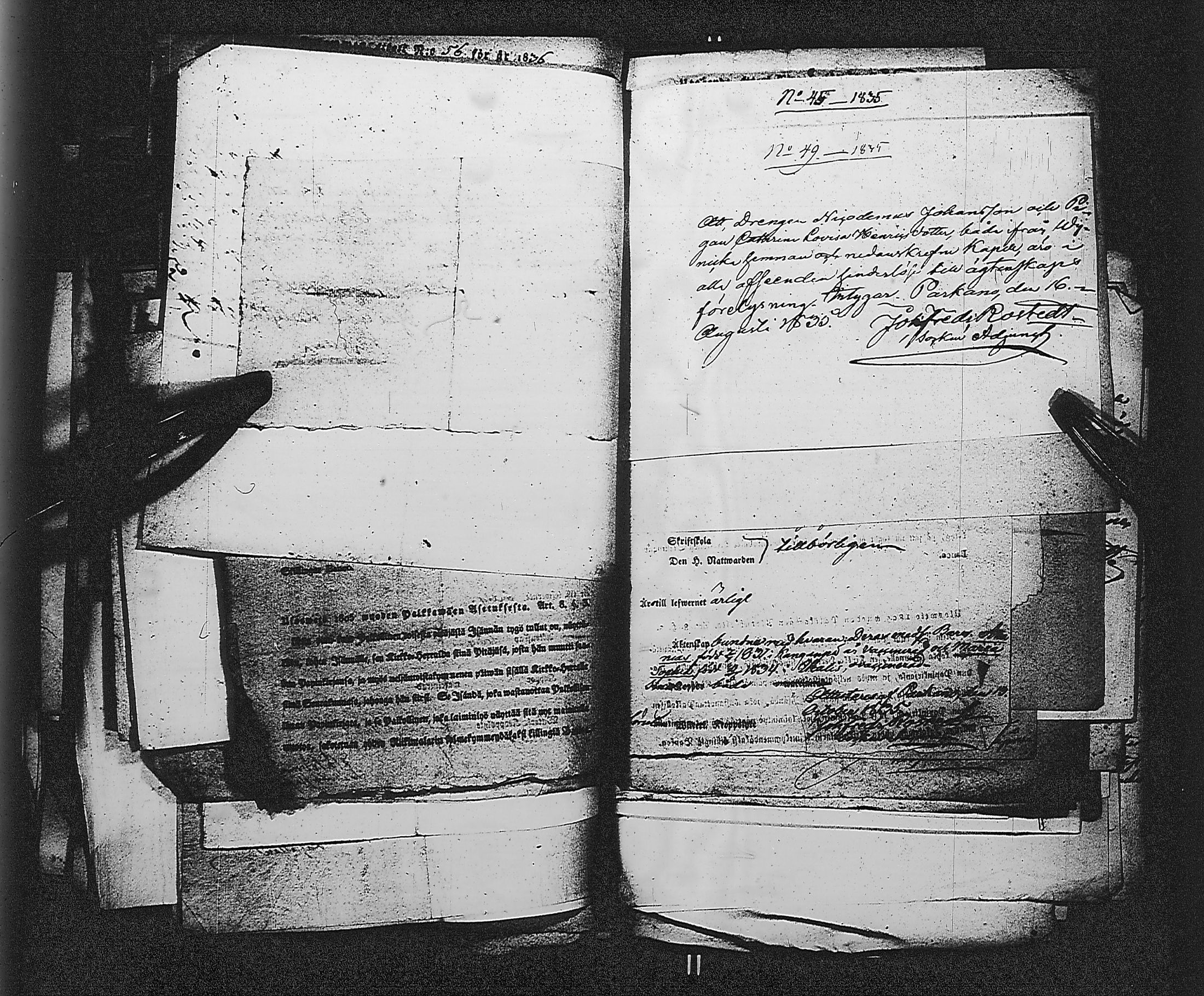 [ kuvat/176.jpg ]