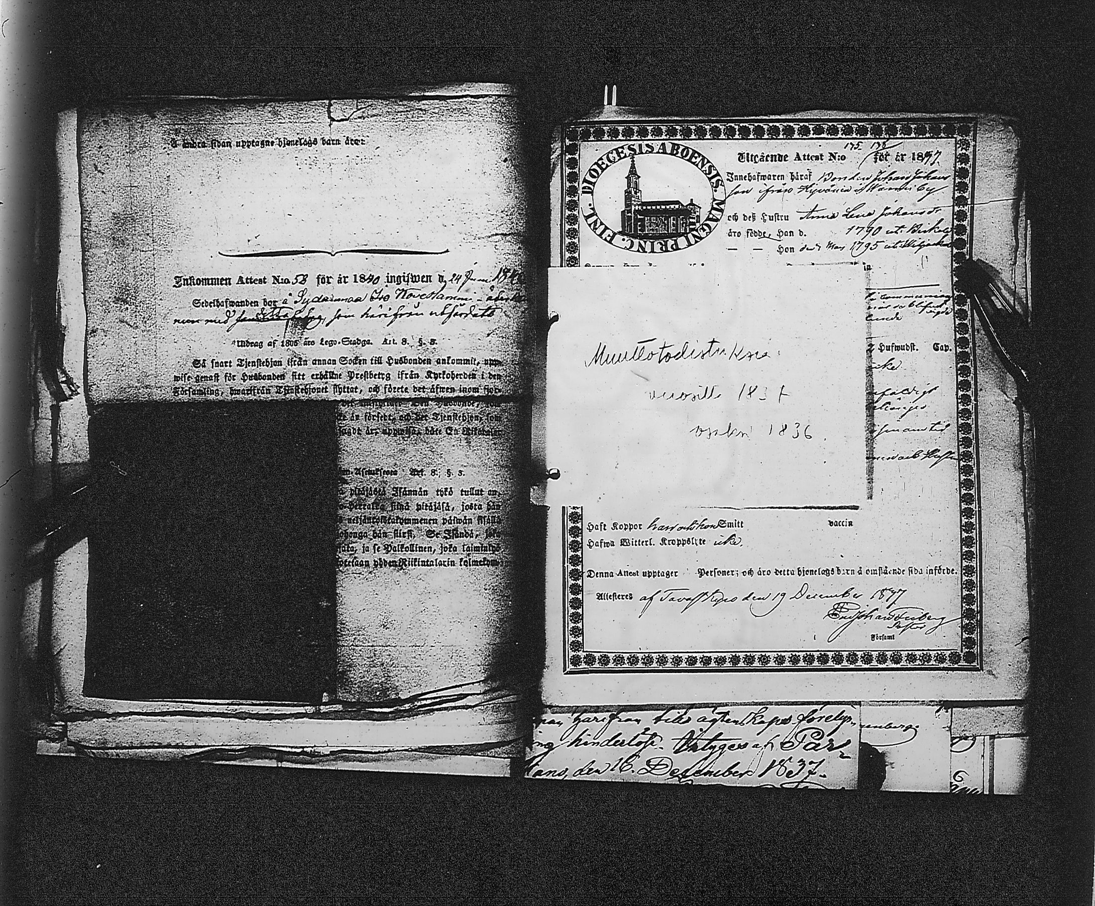 [ kuvat/185.jpg ]
