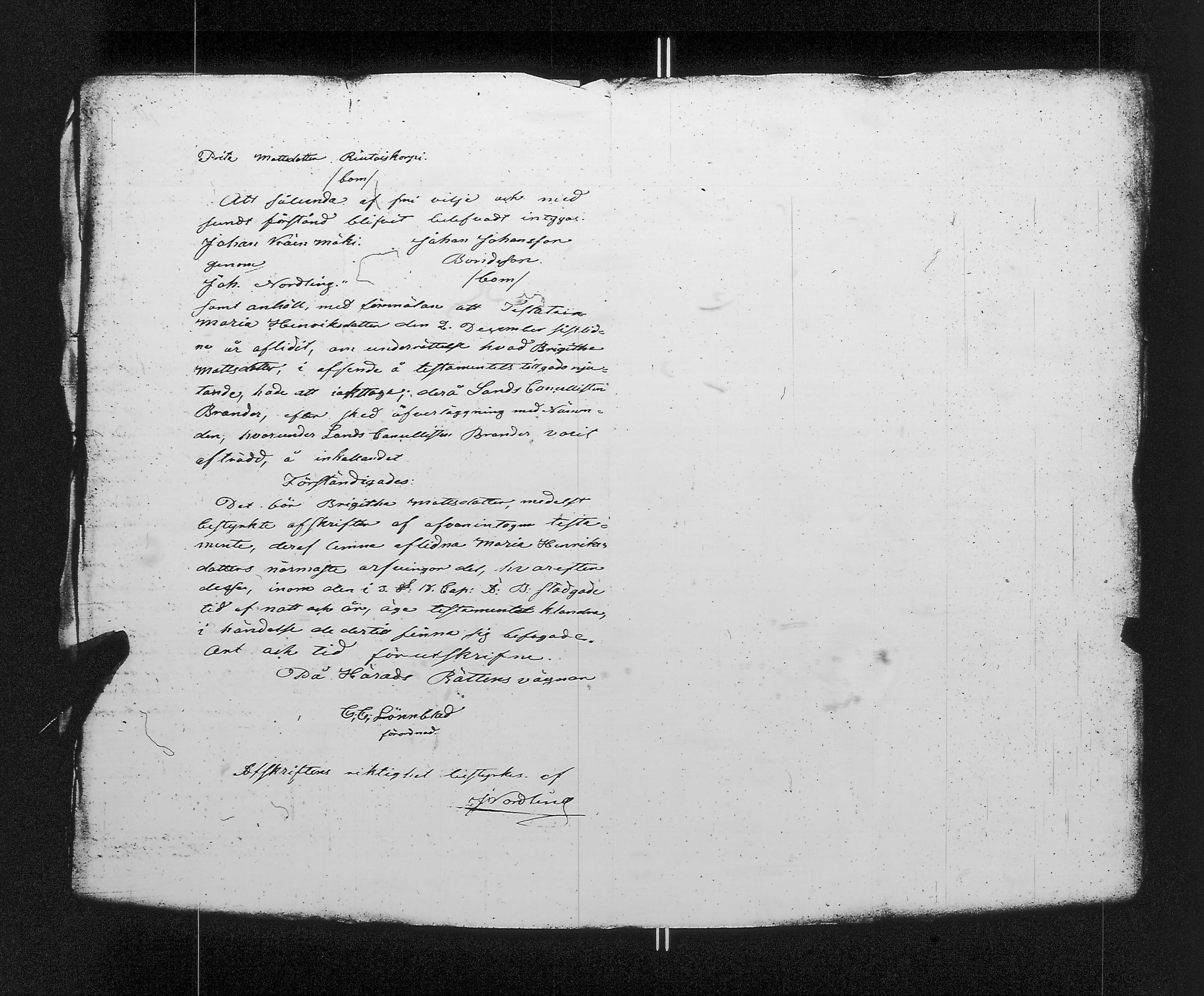 [ kuvat/461.jpg ]