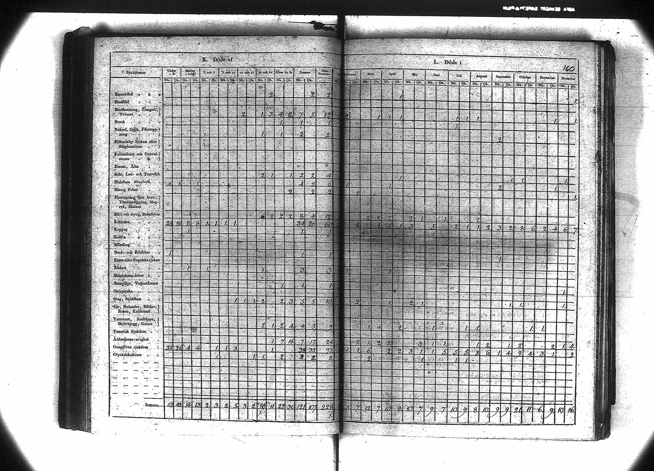 [ kuvat/171.jpg ]