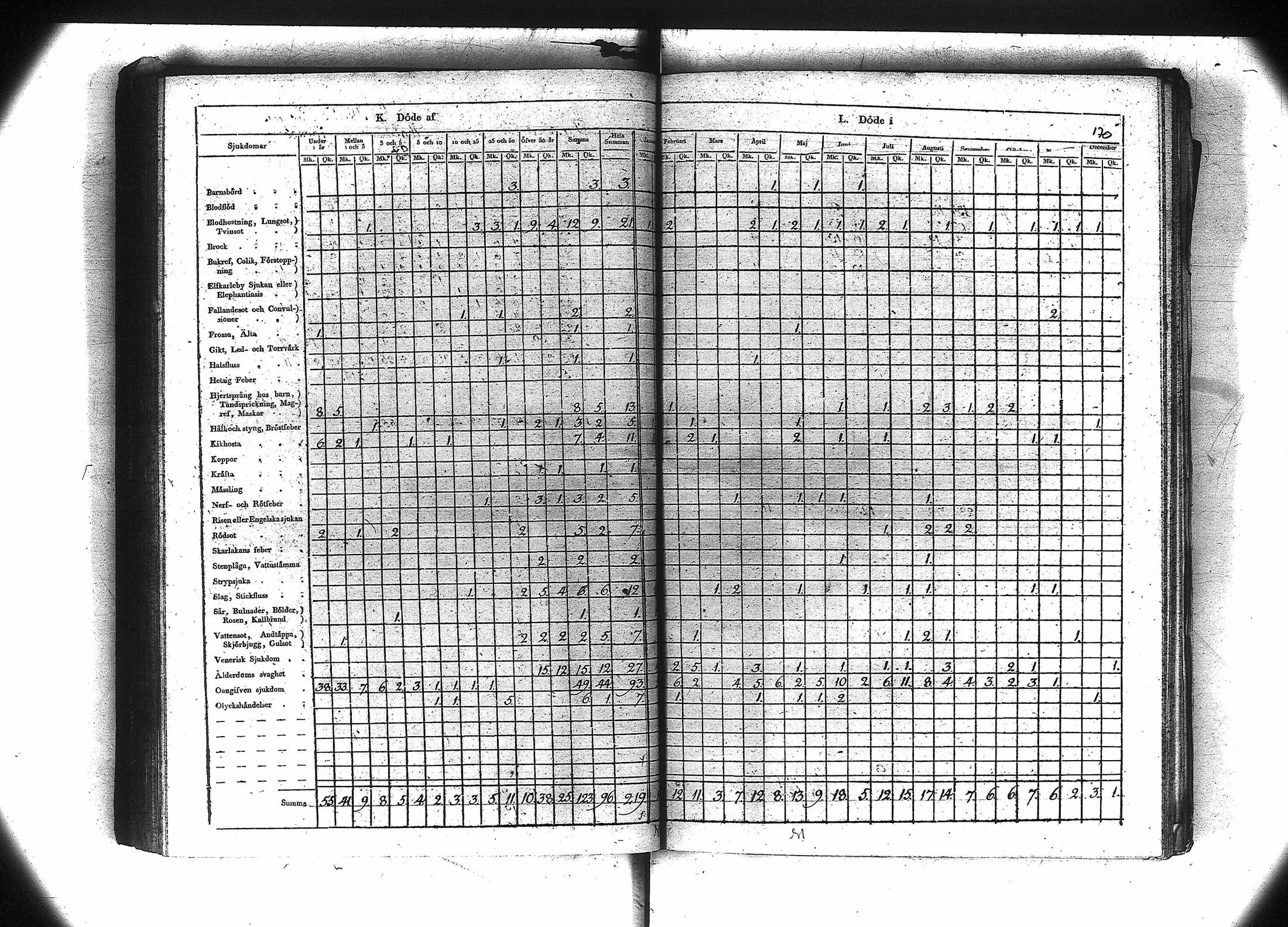 [ kuvat/181.jpg ]