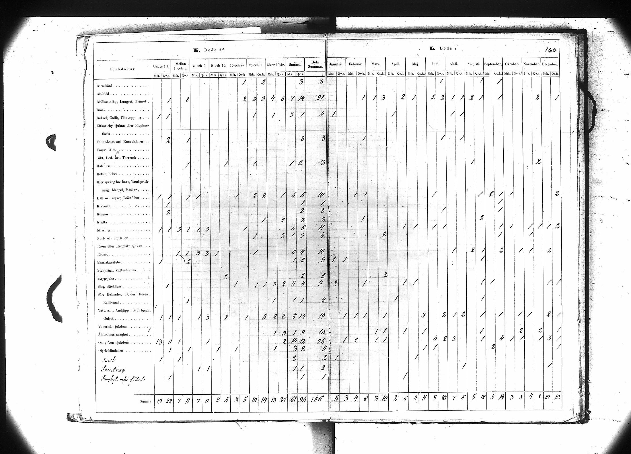 [ kuvat/161.jpg ]