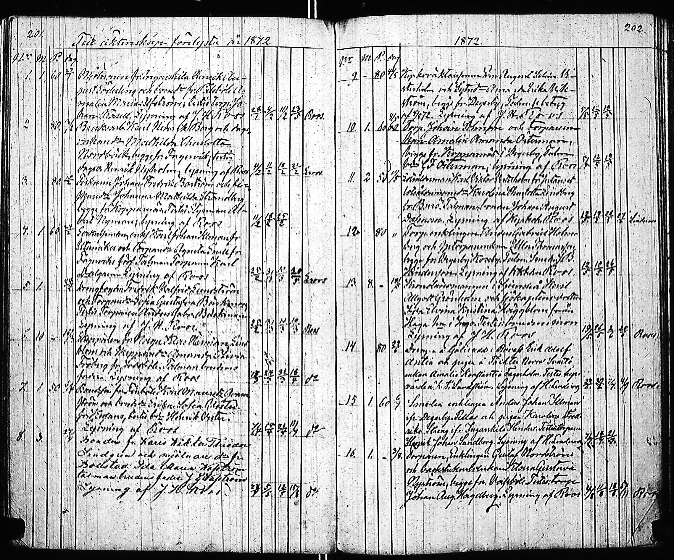 [ kuvat/107.jpg ]