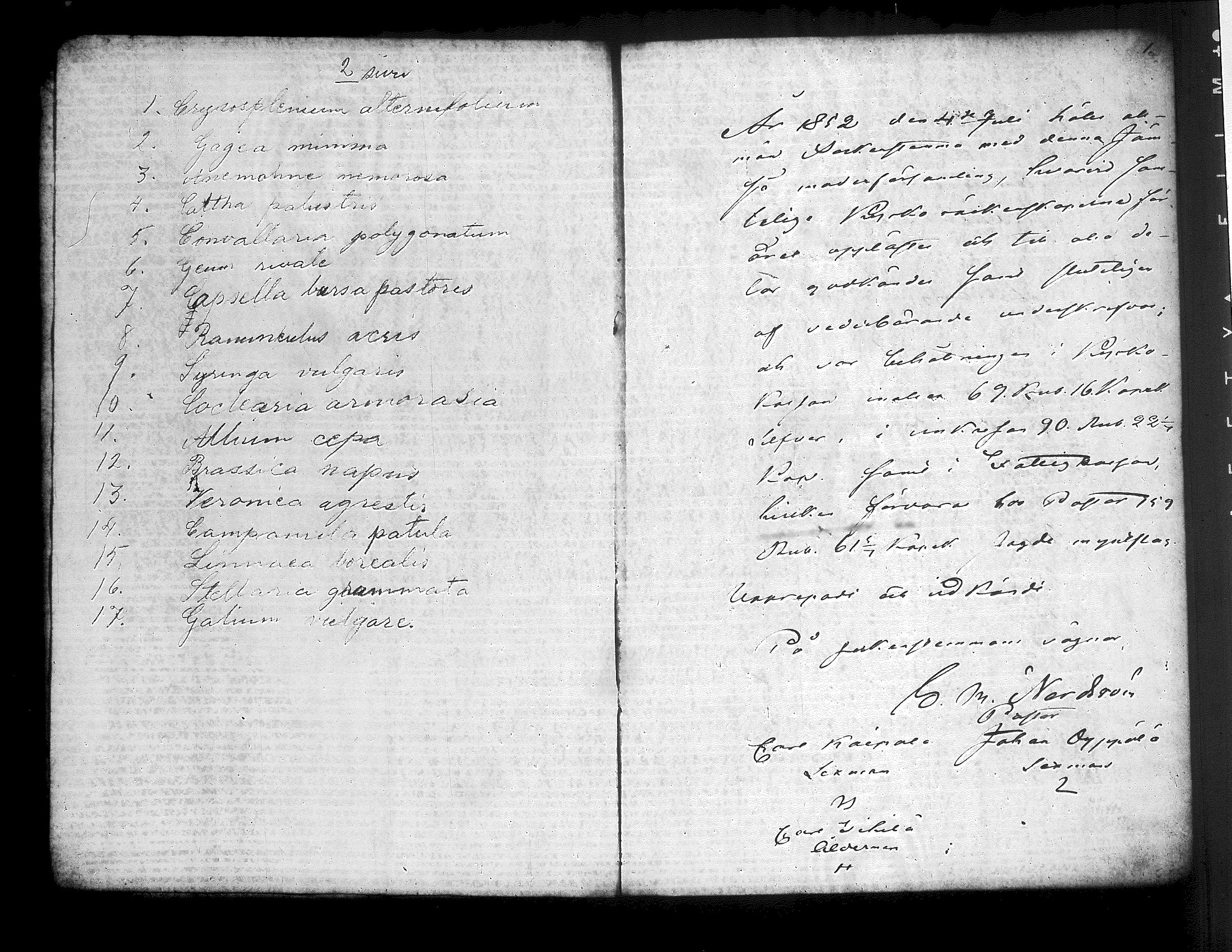 [ ../kirjat/Kirkonkirjat/jamsa/pitajankokouksia_1852-1884_tk456/kuvat/6.jpg ]