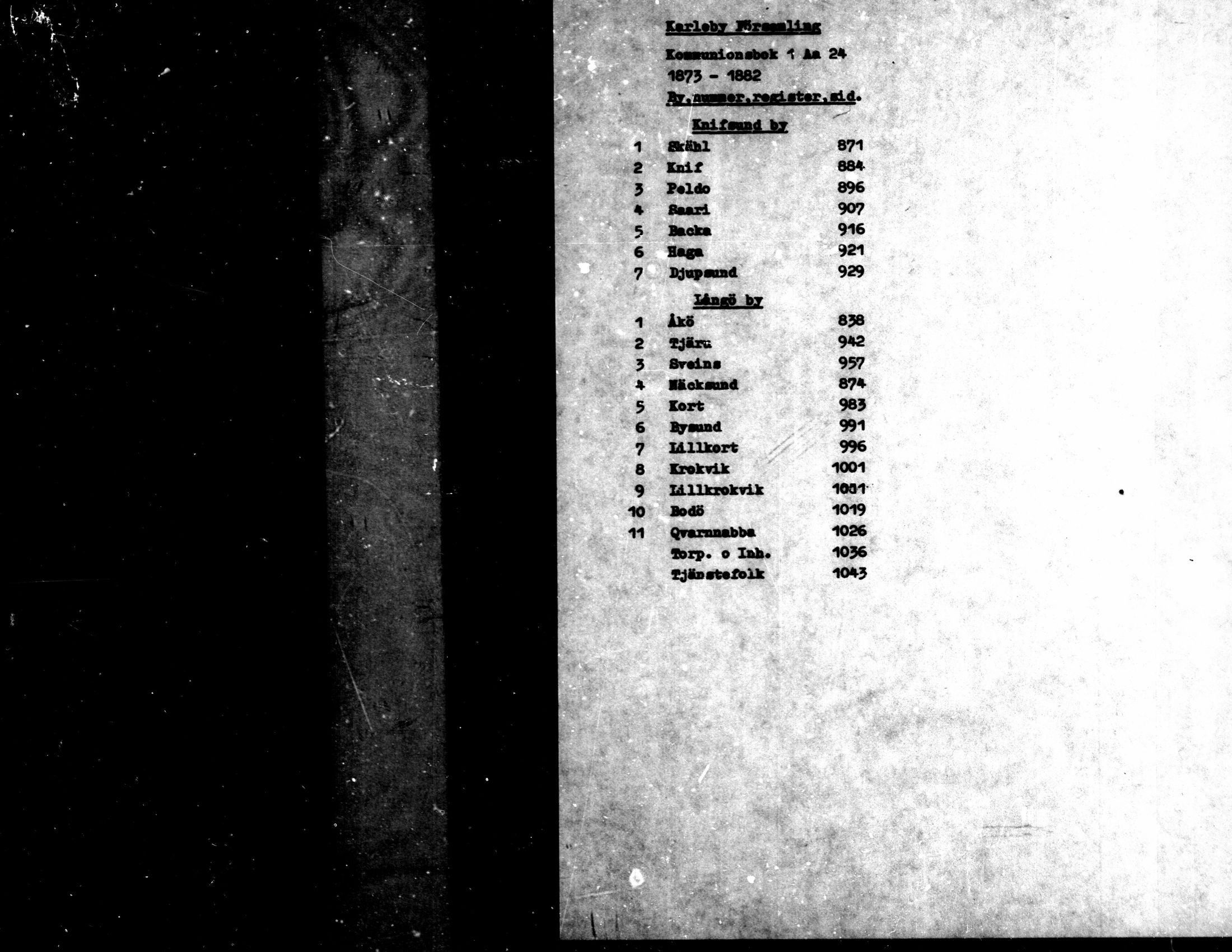 [ ../kirjat/Kirkonkirjat/kaarlela/rippikirja_1873-1882_mko217-223/kuvat/1.jpg ]