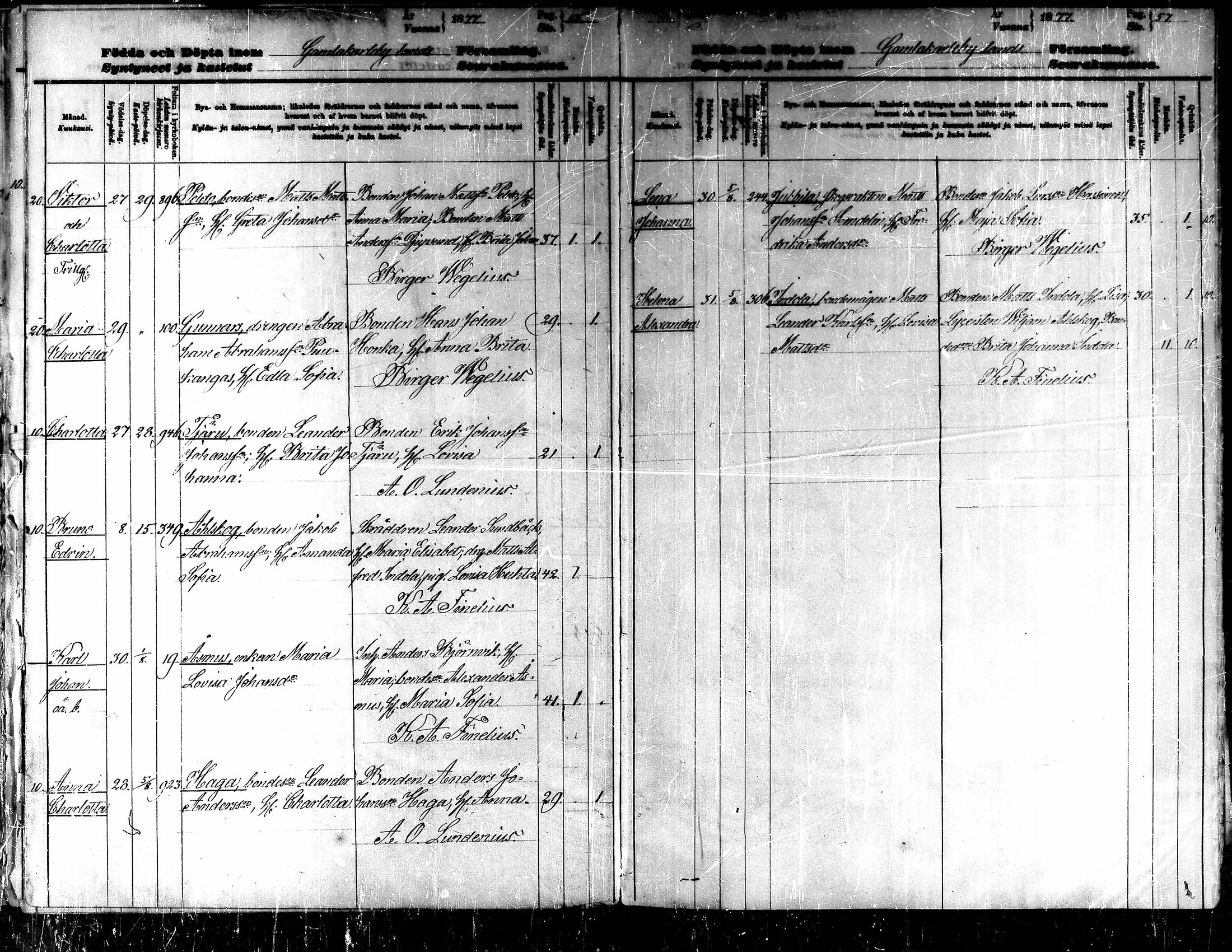 [ ../kirjat/Kirkonkirjat/kaarlela/syntyneet_1876-1887_mko89-94/kuvat/31.jpg ]