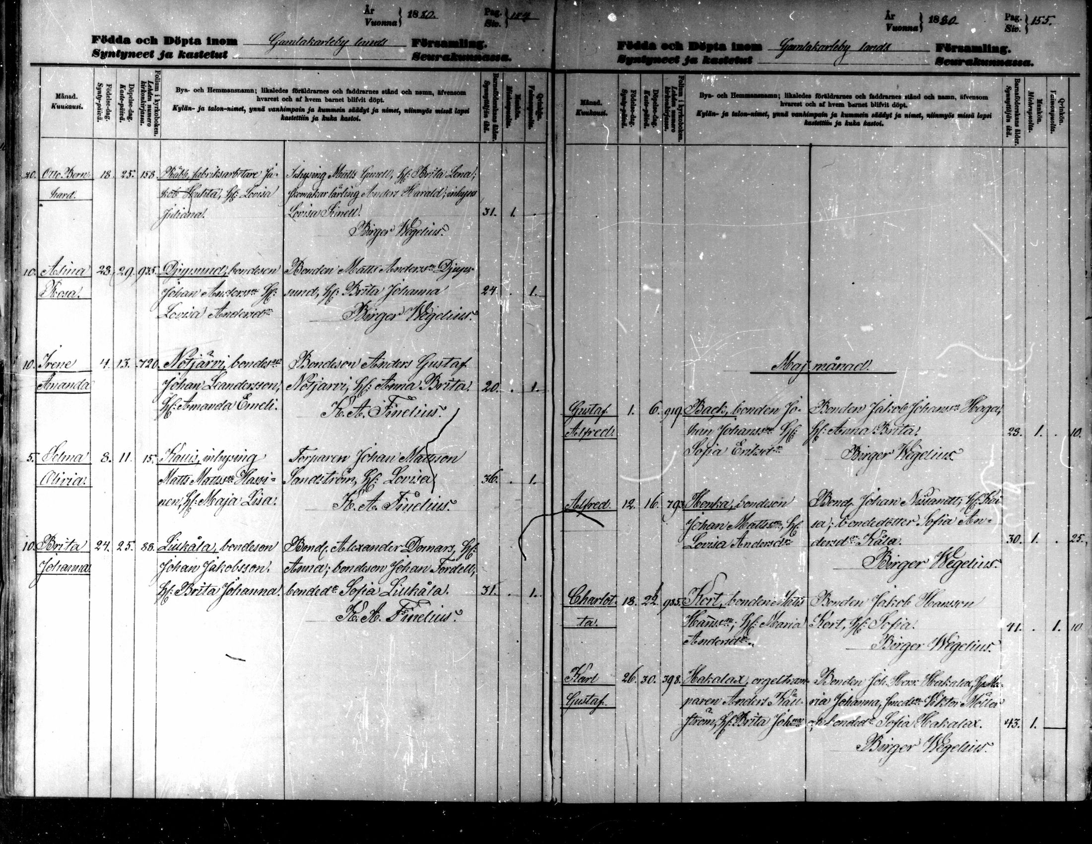 [ ../kirjat/Kirkonkirjat/kaarlela/syntyneet_1876-1887_mko89-94/kuvat/80.jpg ]