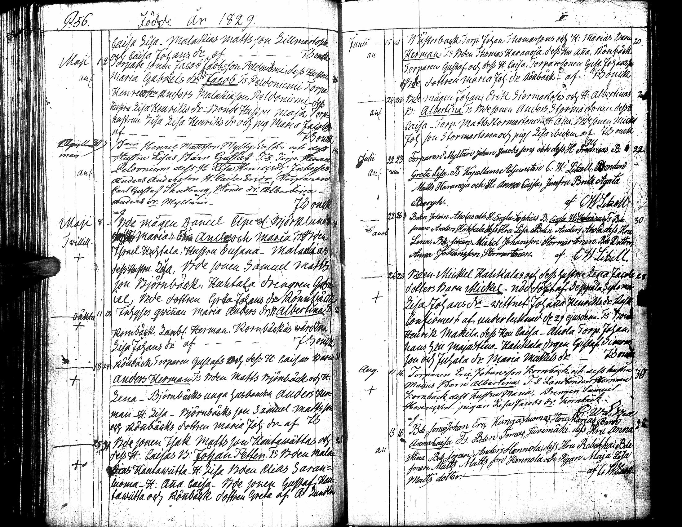 [ ../kirjat/Kirkonkirjat/karijoki/syntyneet-vihityt-kuolleet_1812-1857_uk45/kuvat/61.jpg ]