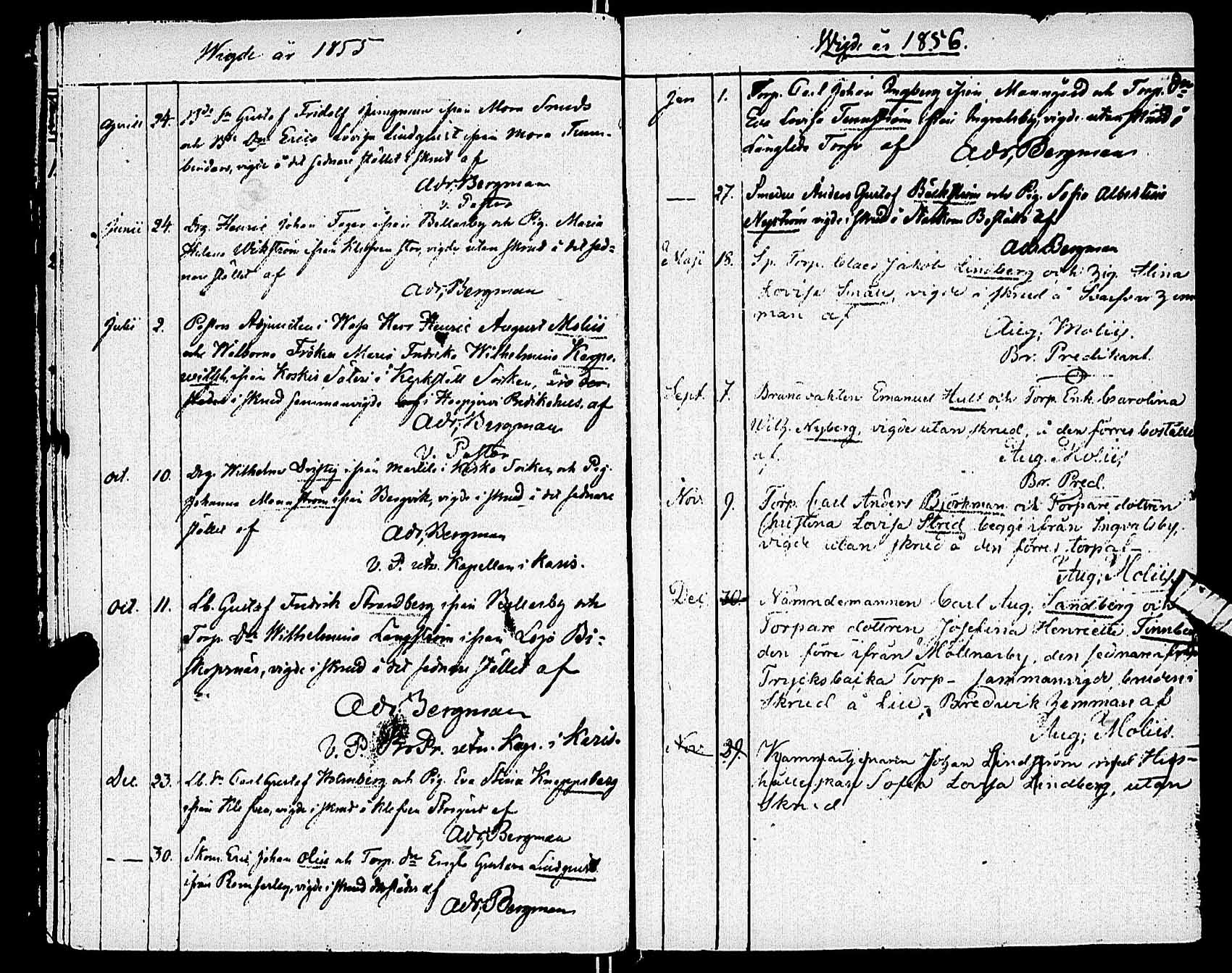[ ../kirjat/Kirkonkirjat/karjaa/vihityt-kuolleet_1811-1890_mustio_es110/kuvat/54.jpg ]
