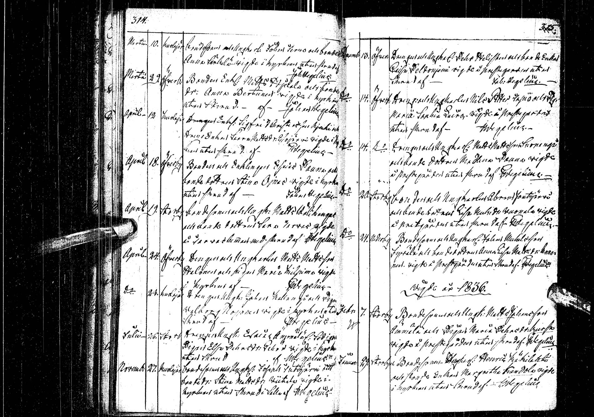[ kuvat/158.jpg ]