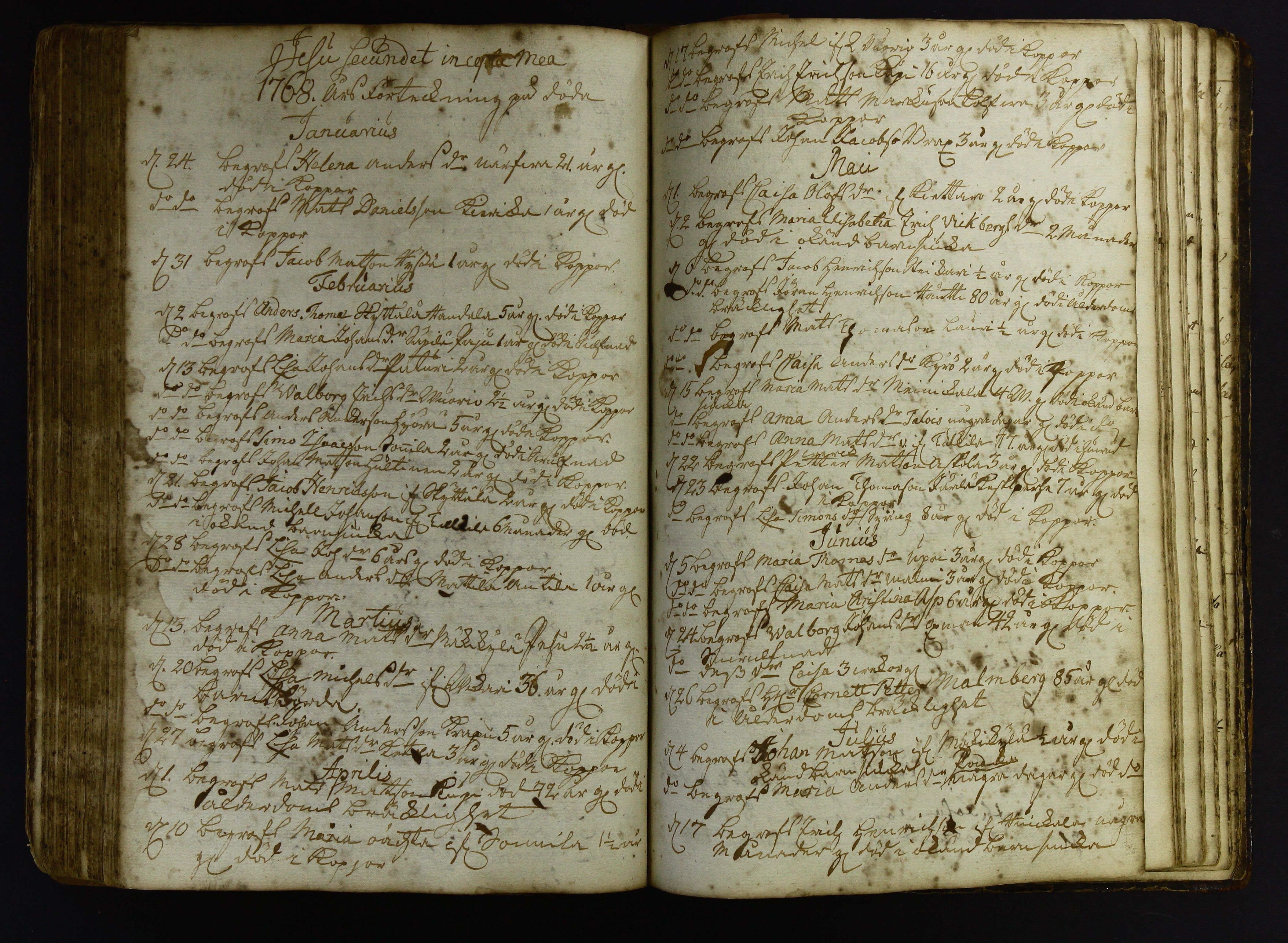 [ kuvat/119.jpg ]