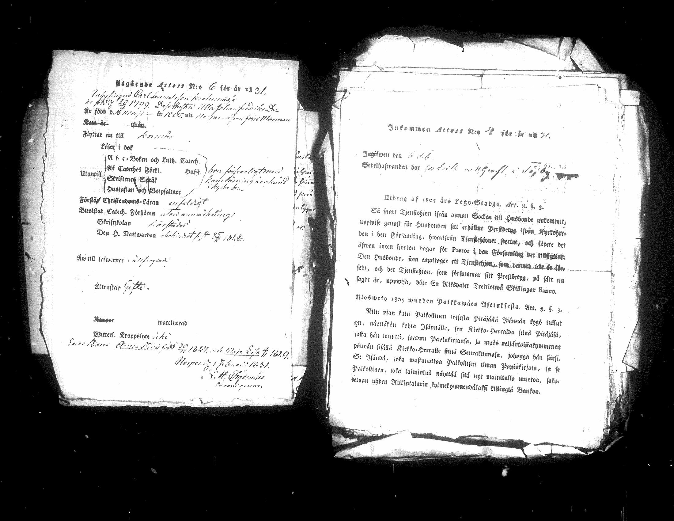 [ ../kirjat/Kirkonkirjat/korsnas/muuttokirjoja_1831-1837_uk254-255/kuvat/11.jpg ]