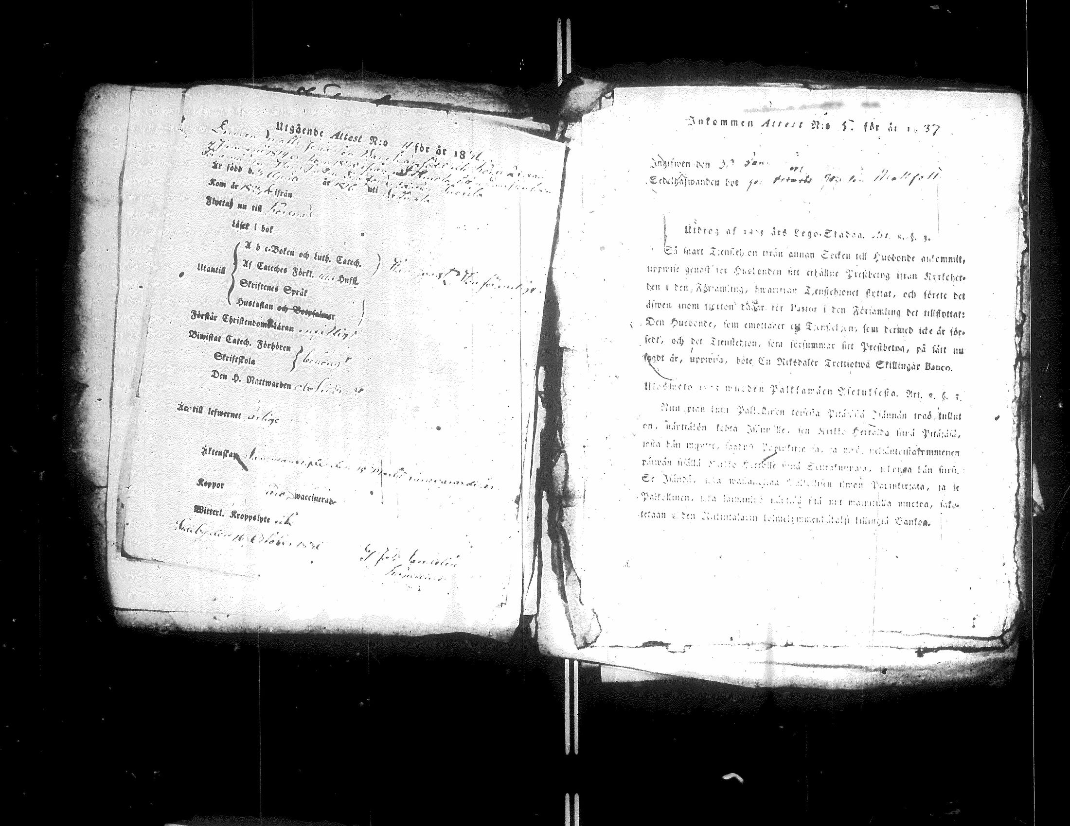 [ ../kirjat/Kirkonkirjat/korsnas/muuttokirjoja_1831-1837_uk254-255/kuvat/229.jpg ]