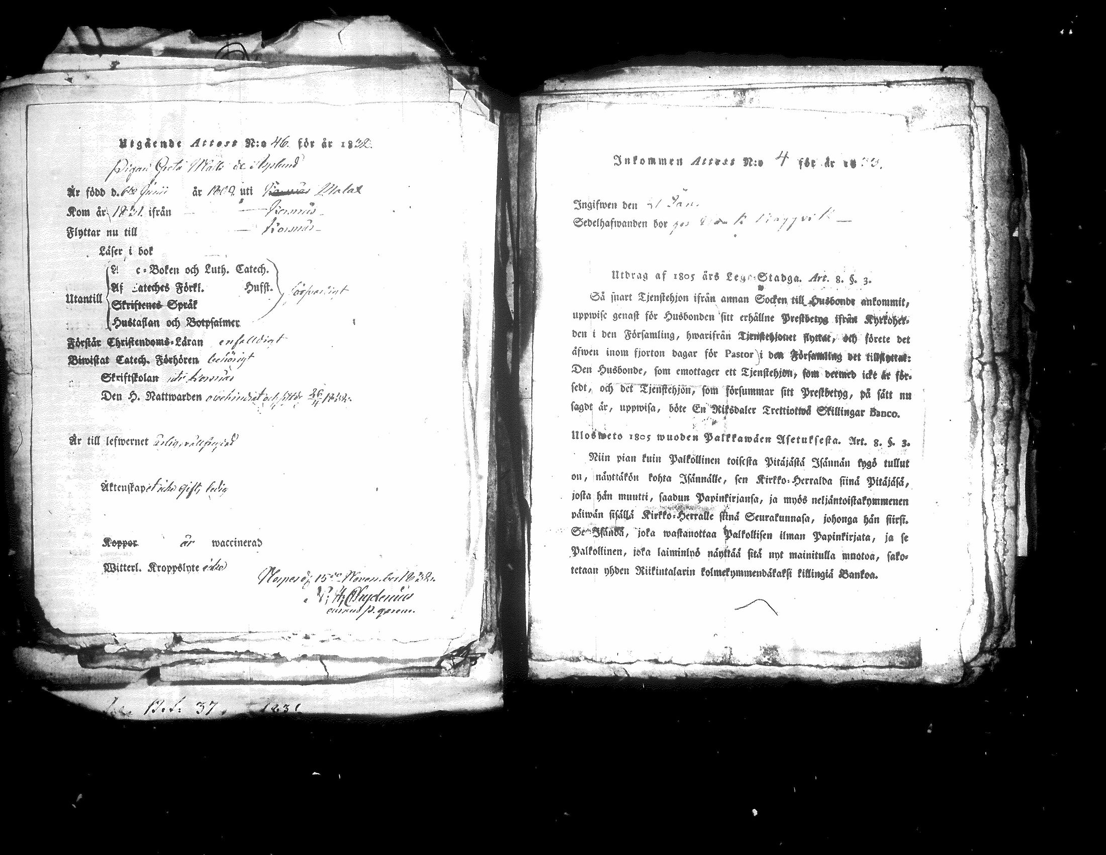 [ ../kirjat/Kirkonkirjat/korsnas/muuttokirjoja_1831-1837_uk254-255/kuvat/81.jpg ]
