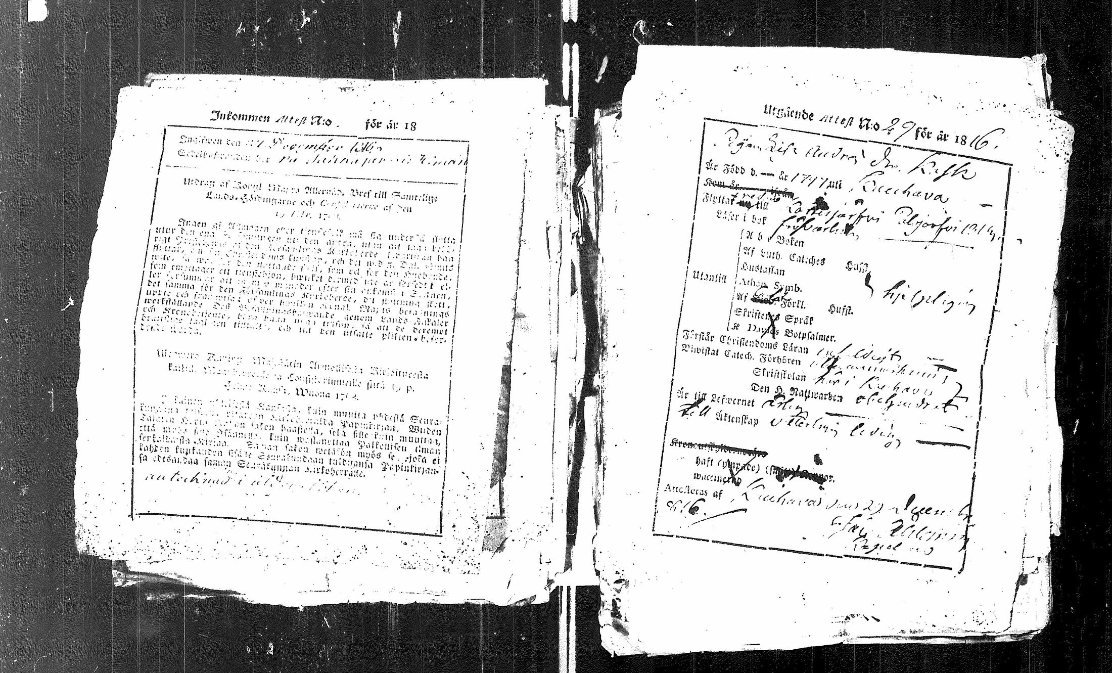 [ kuvat/124.jpg ]