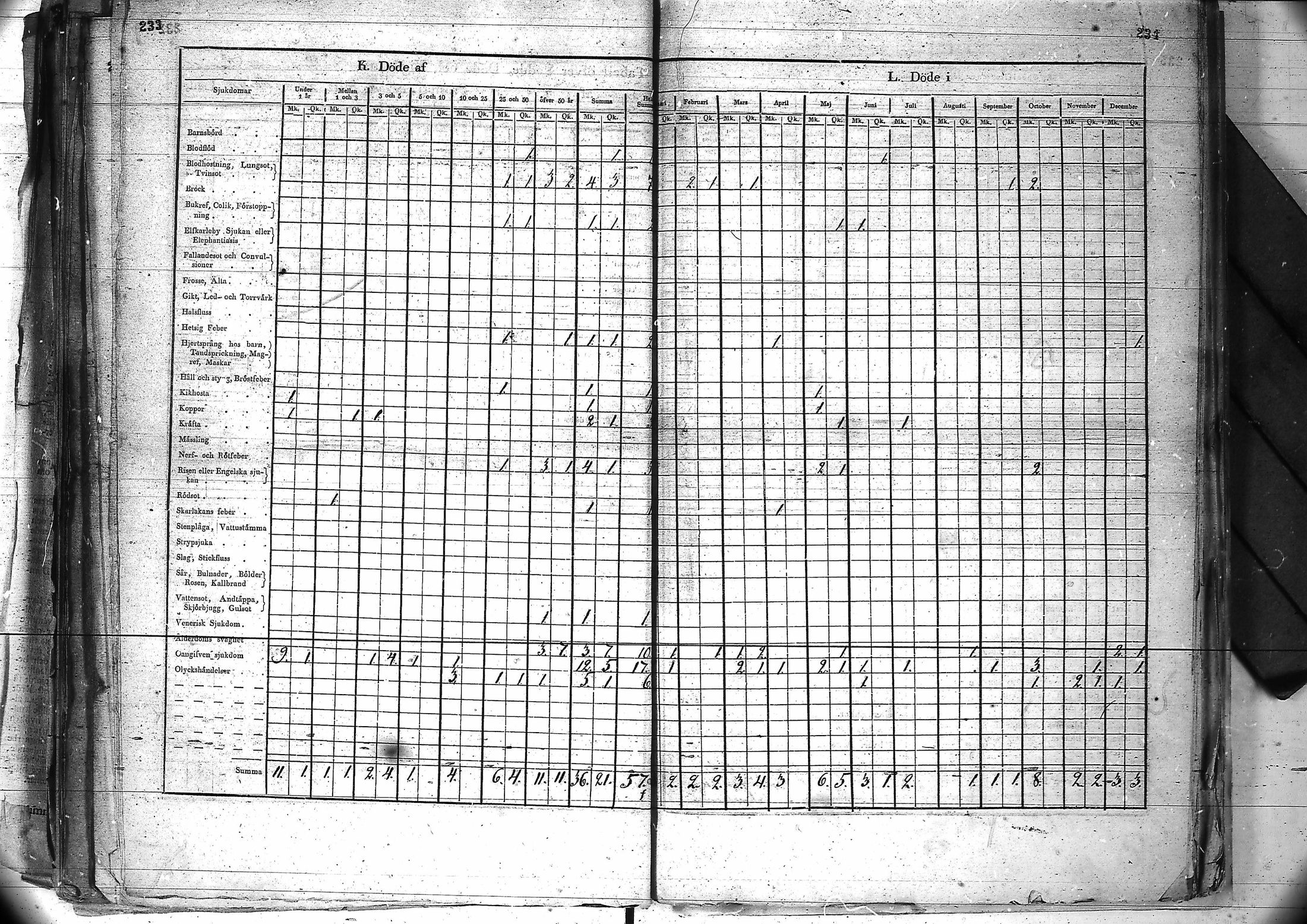 [ kuvat/122.jpg ]