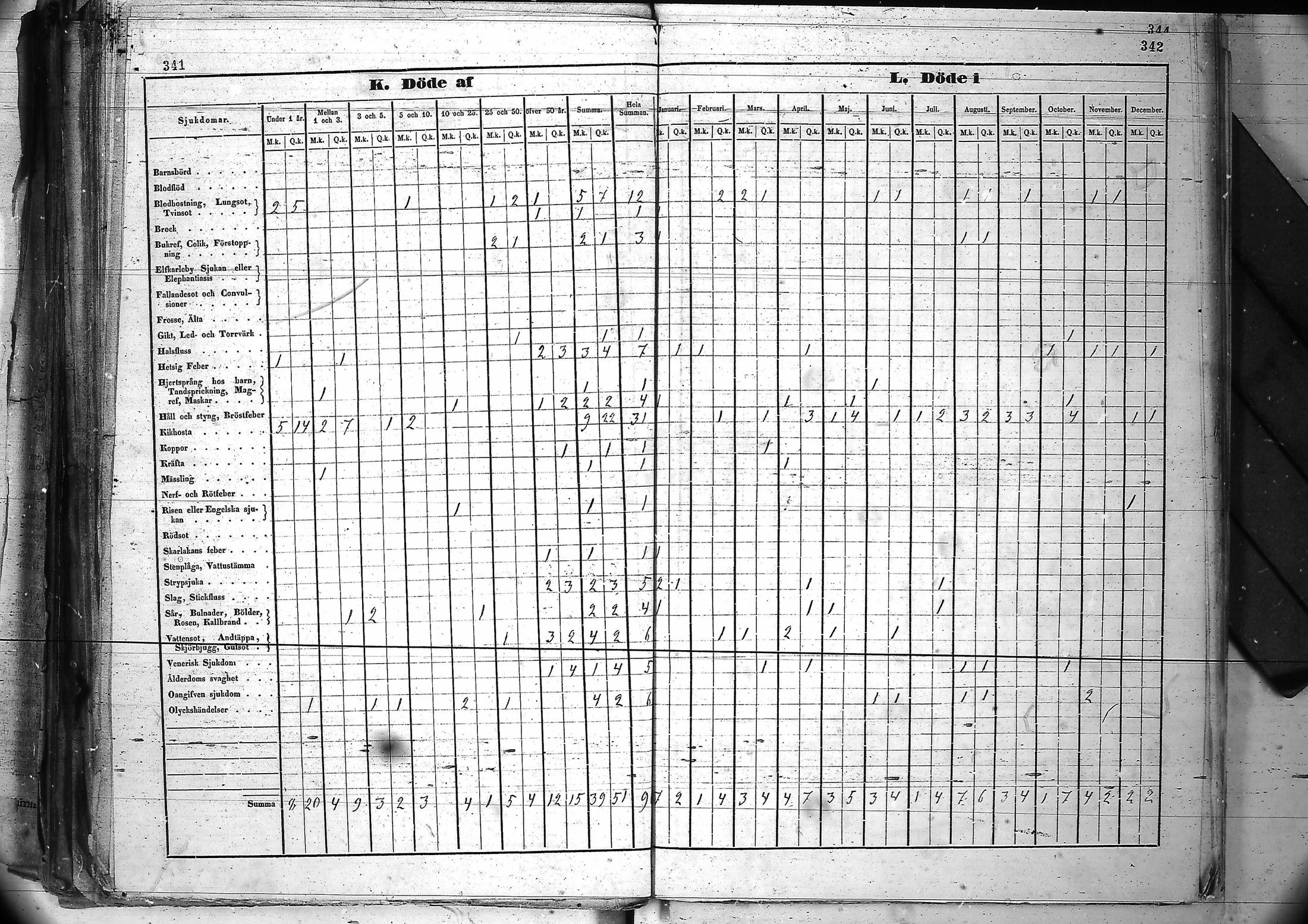 [ kuvat/176.jpg ]