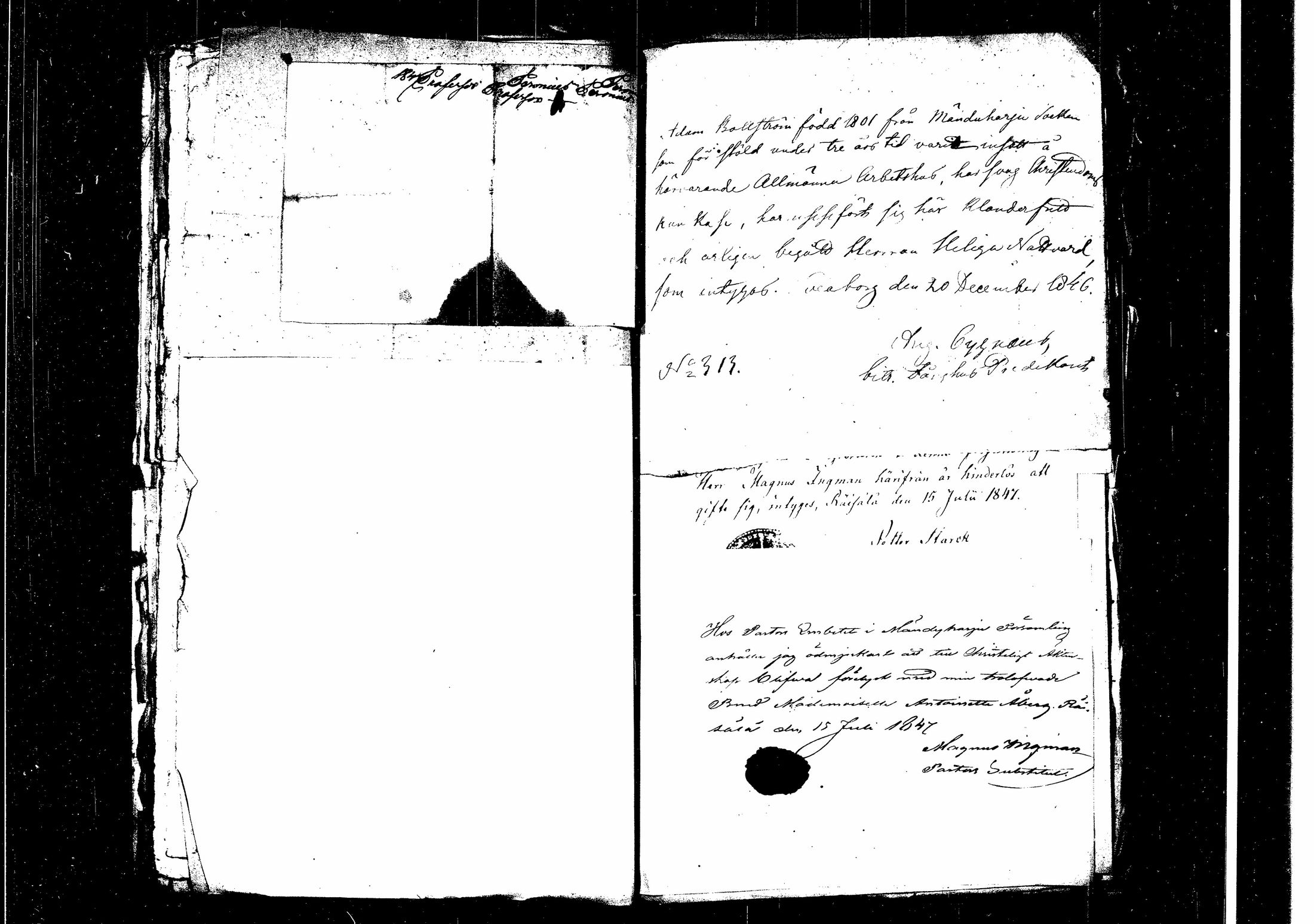 [ kuvat/223.jpg ]