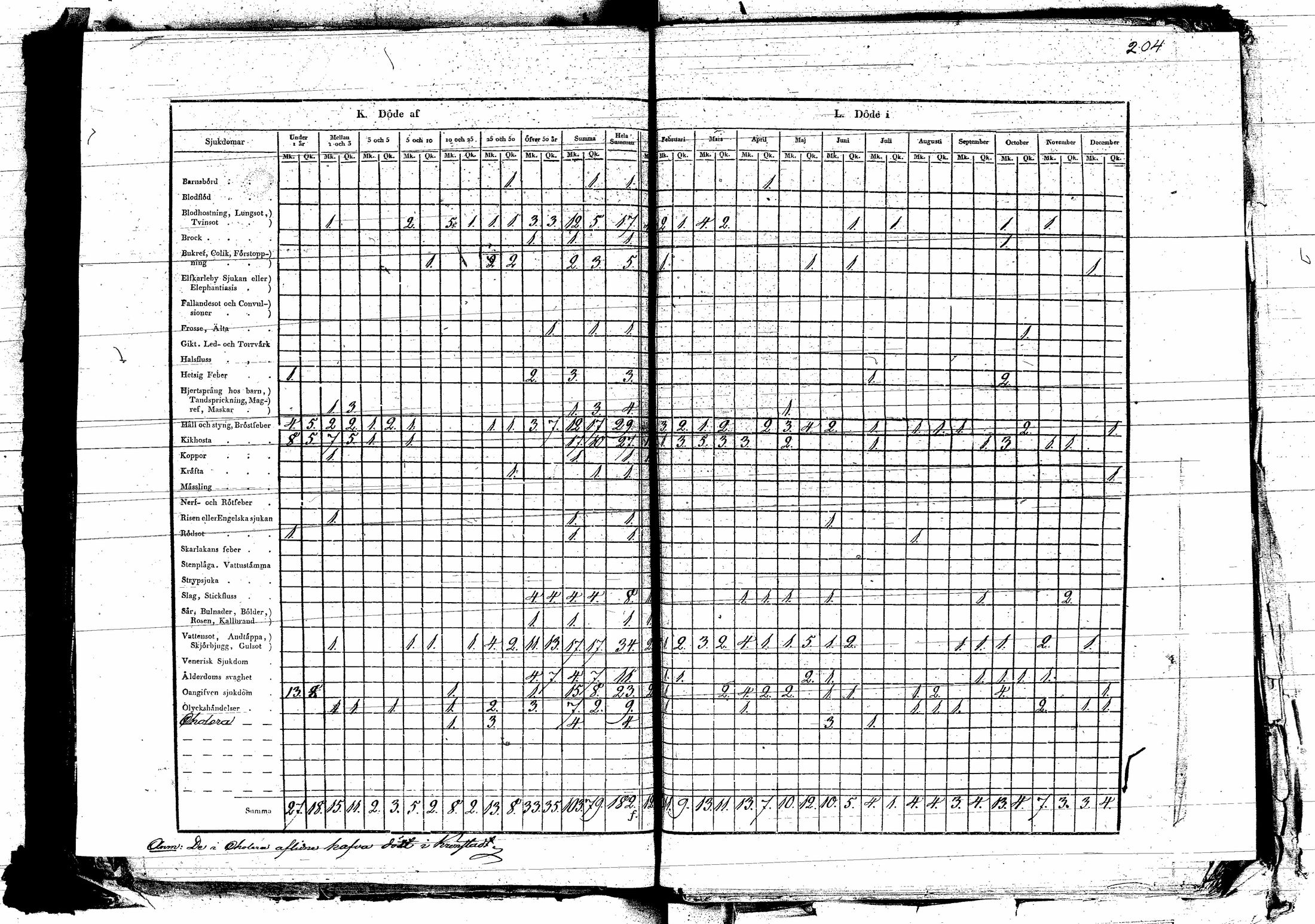 [ kuvat/202.jpg ]