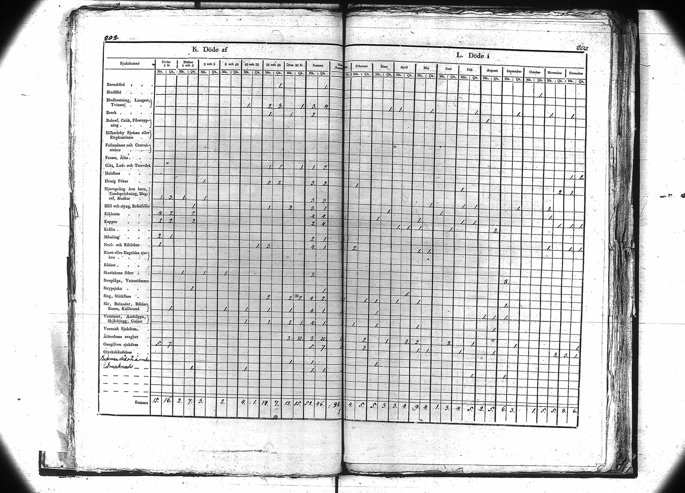 [ kuvat/104.jpg ]
