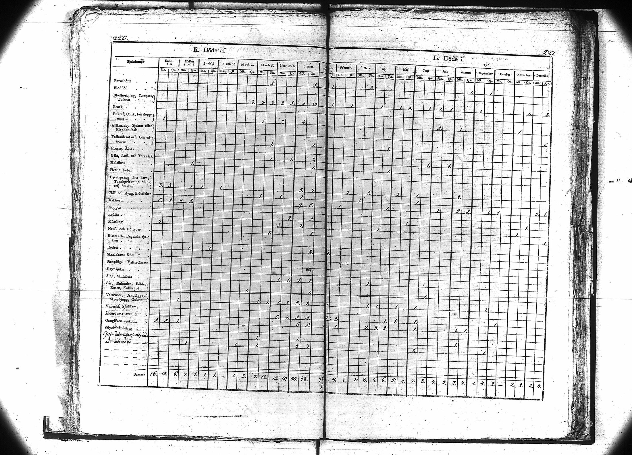 [ kuvat/116.jpg ]
