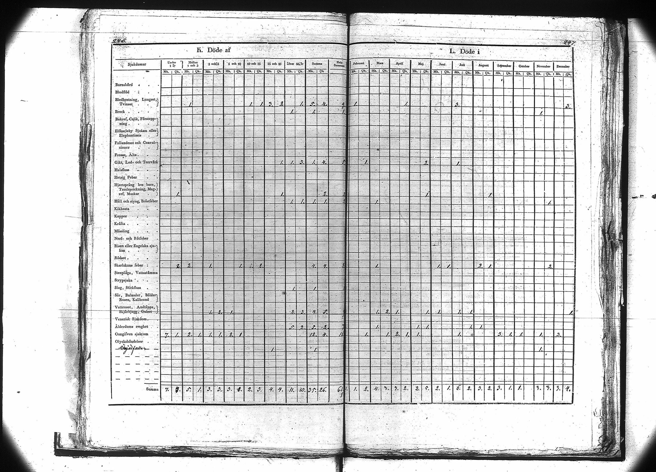 [ kuvat/126.jpg ]