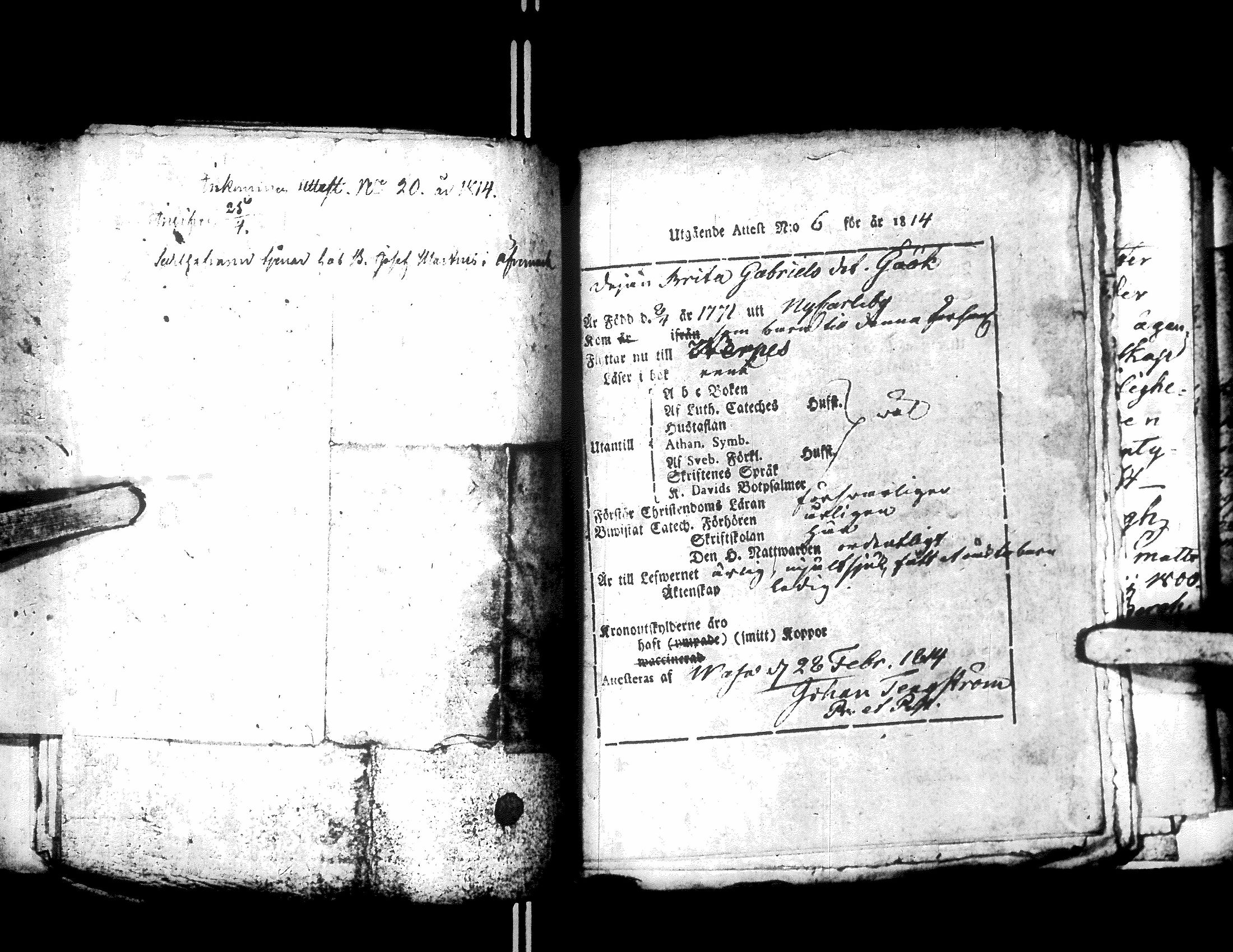 [ ../kirjat/Kirkonkirjat/narpio/muuttokirjoja_1808-1815_uk233/kuvat/219.jpg ]