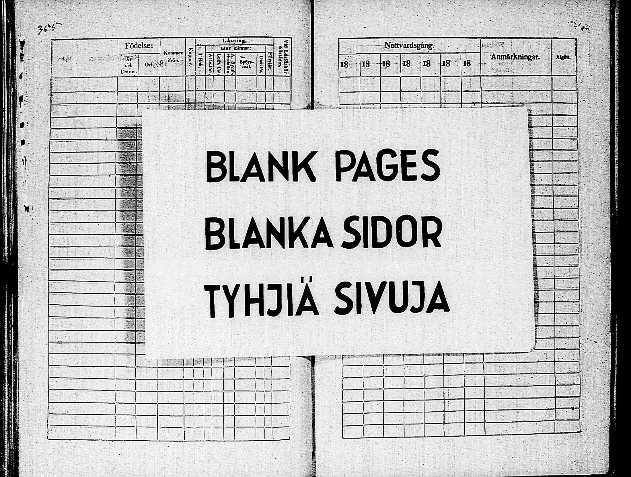 [ kuvat/368.jpg ]