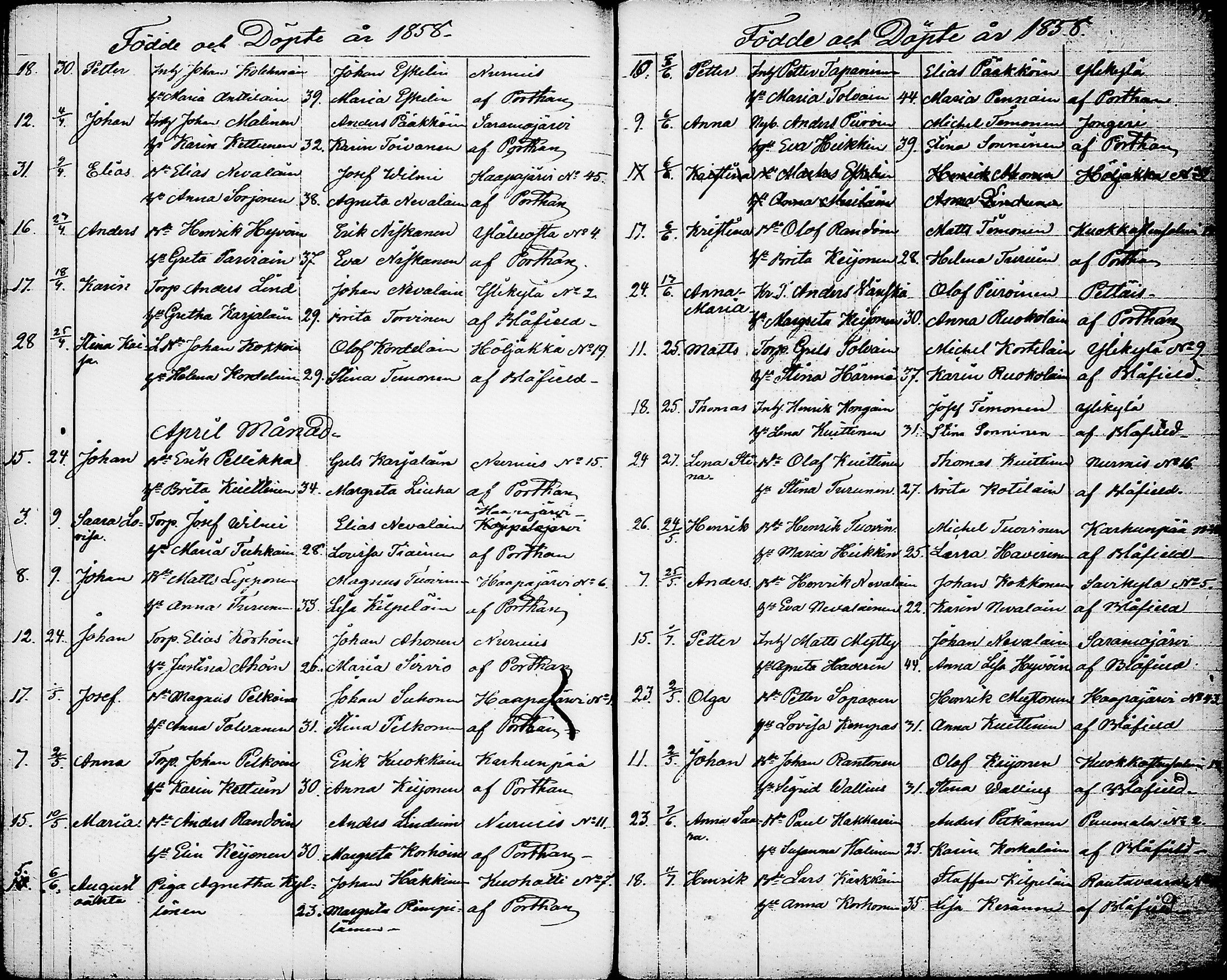 [ kuvat/204.jpg ]