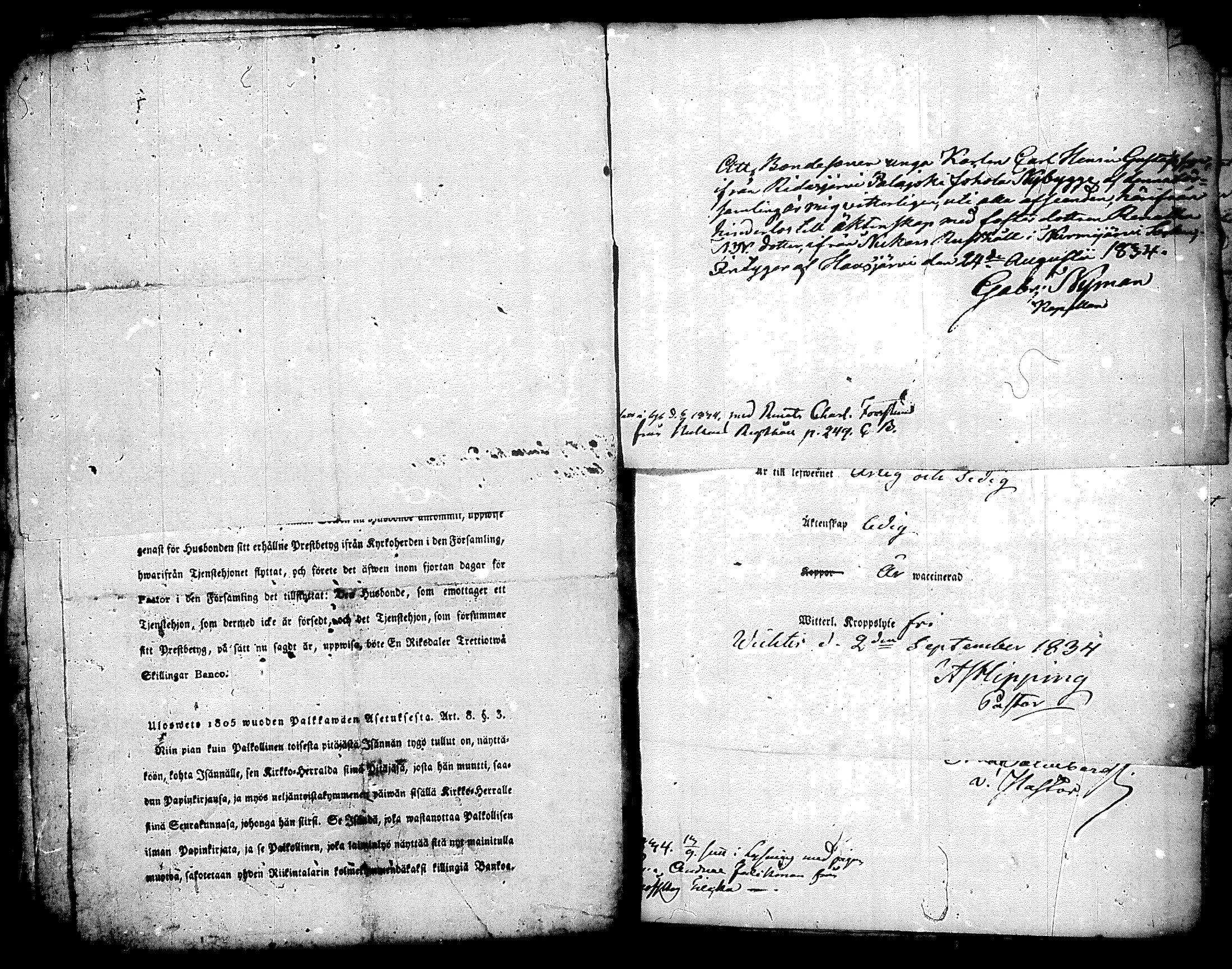 [ ../kirjat/Kirkonkirjat/nurmijarvi/muuttokirjoja_1831-1836_tk347-348/kuvat/503.jpg ]