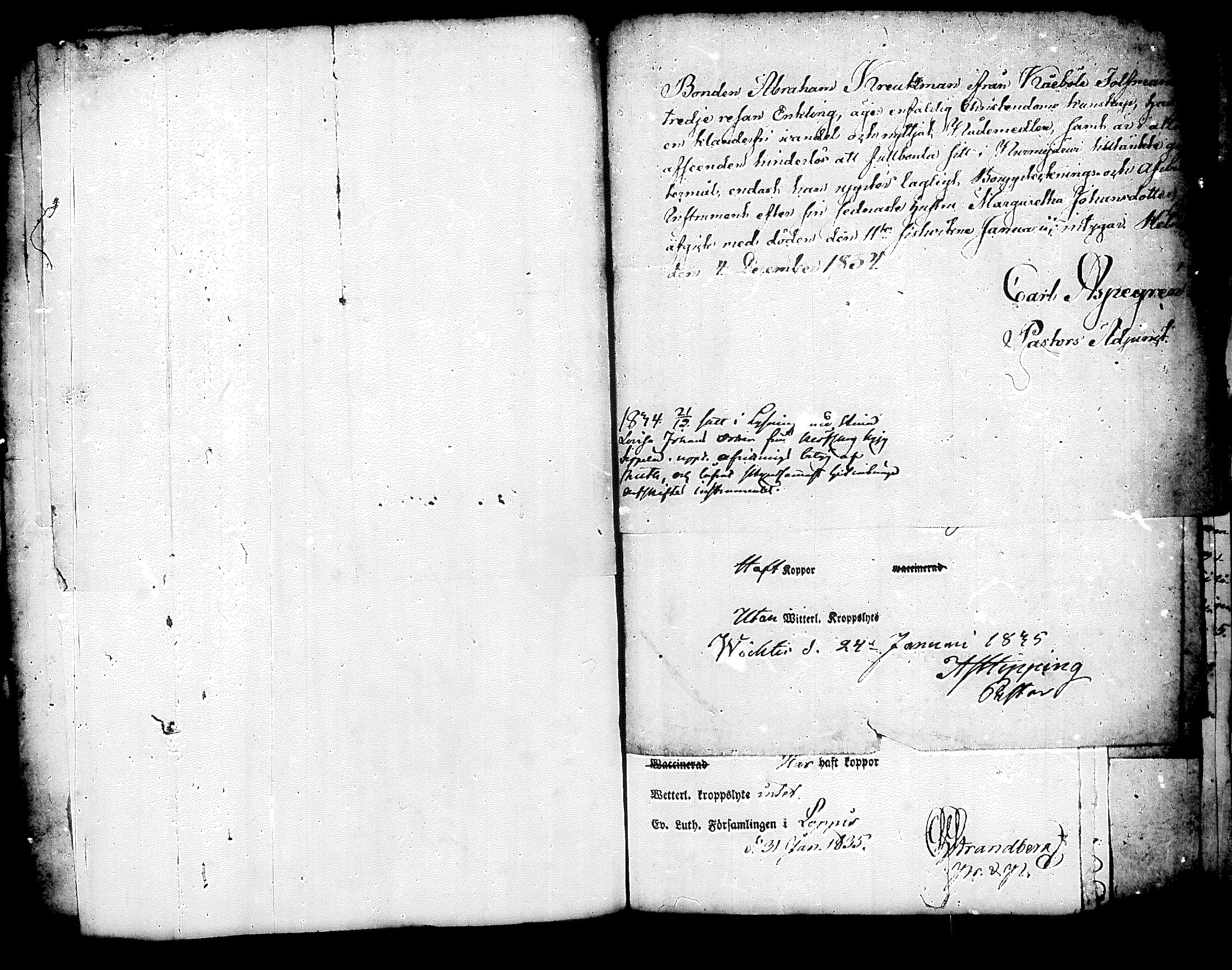 [ ../kirjat/Kirkonkirjat/nurmijarvi/muuttokirjoja_1831-1836_tk347-348/kuvat/599.jpg ]
