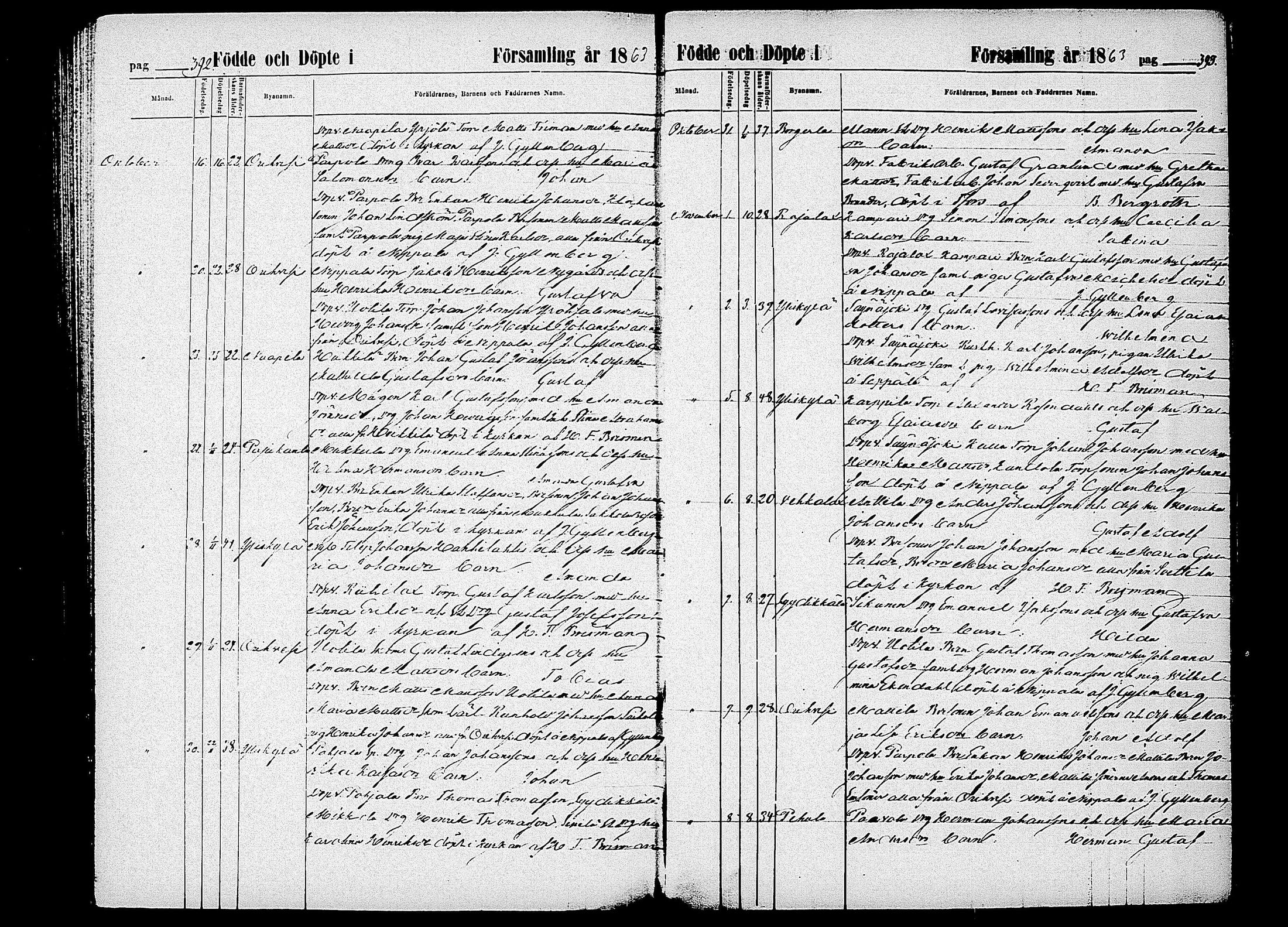 [ ../kirjat/Kirkonkirjat/orivesi/syntyneet_1852-1863_tk154/kuvat/201.jpg ]