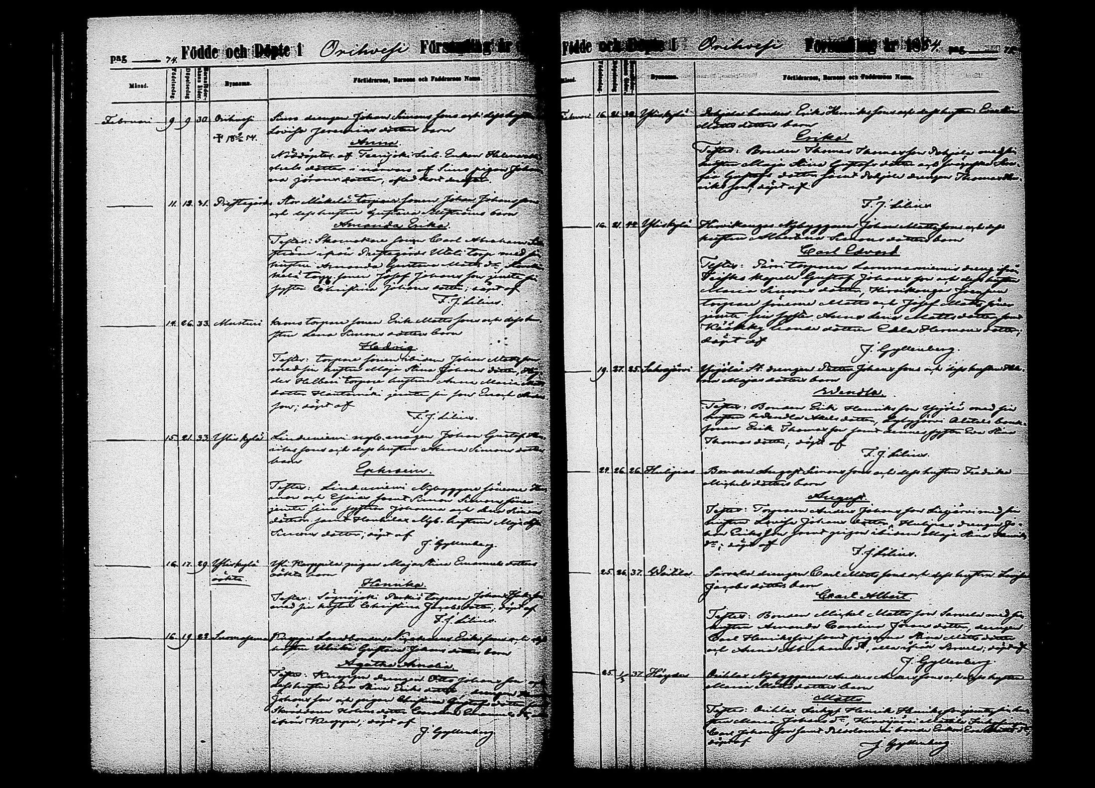 [ ../kirjat/Kirkonkirjat/orivesi/syntyneet_1852-1863_tk154/kuvat/43.jpg ]