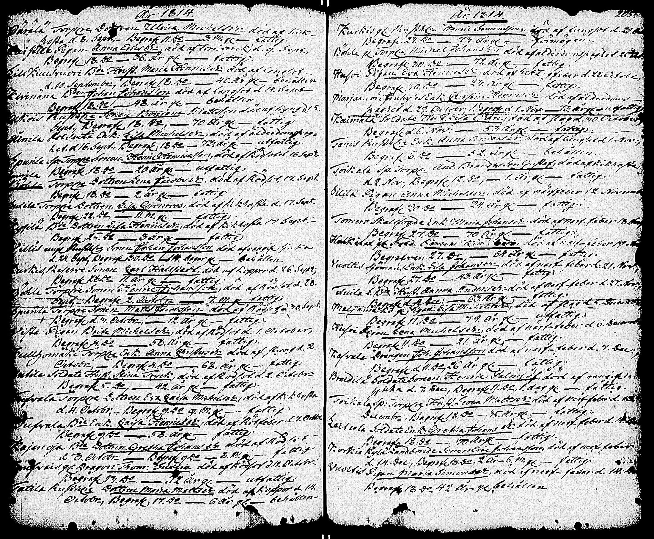 [ ../kirjat/Kirkonkirjat/paimio/vihityt-kuolleet_1767-1855_jk258/kuvat/106.jpg ]