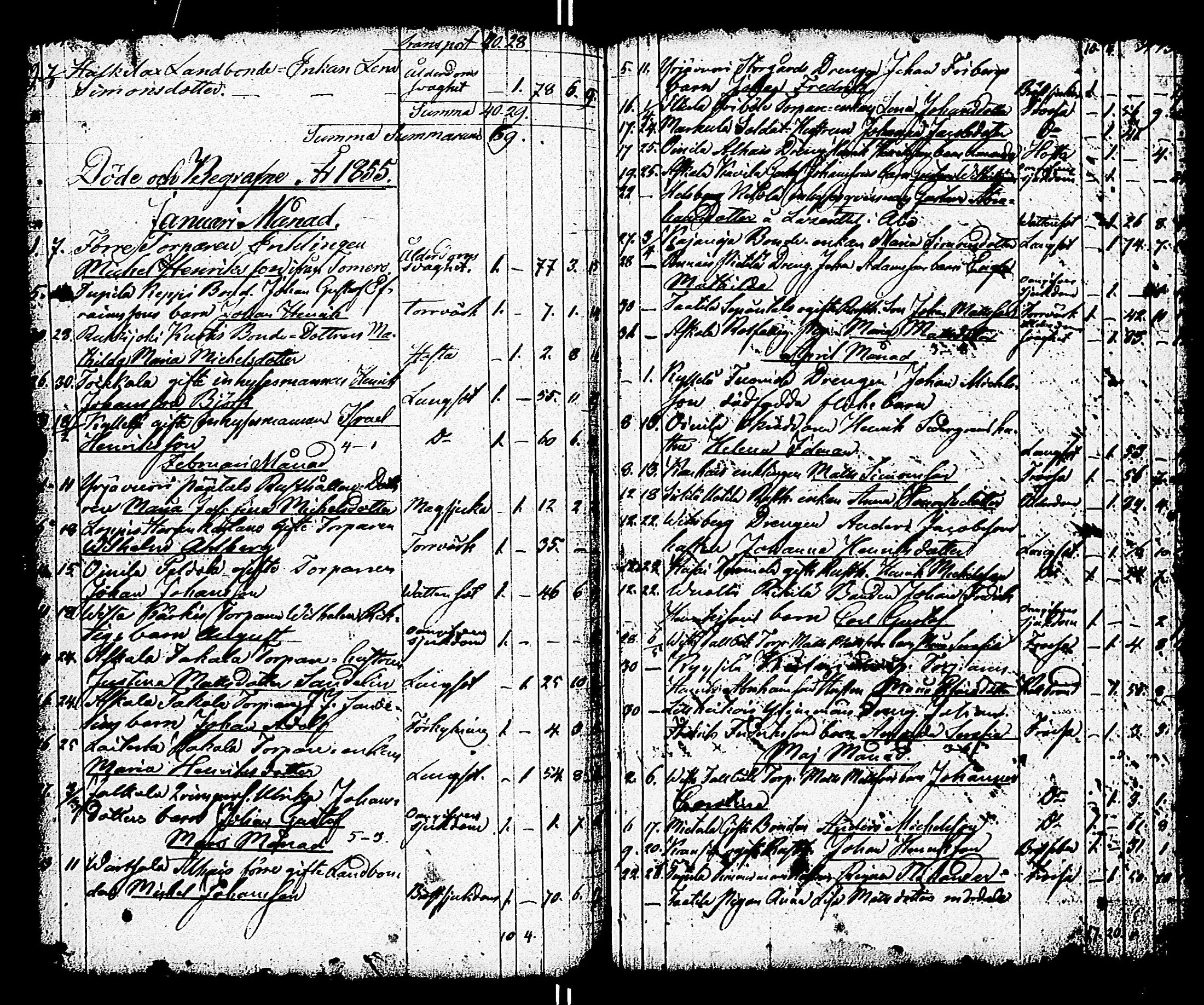 [ ../kirjat/Kirkonkirjat/paimio/vihityt-kuolleet_1767-1855_jk258/kuvat/239.jpg ]