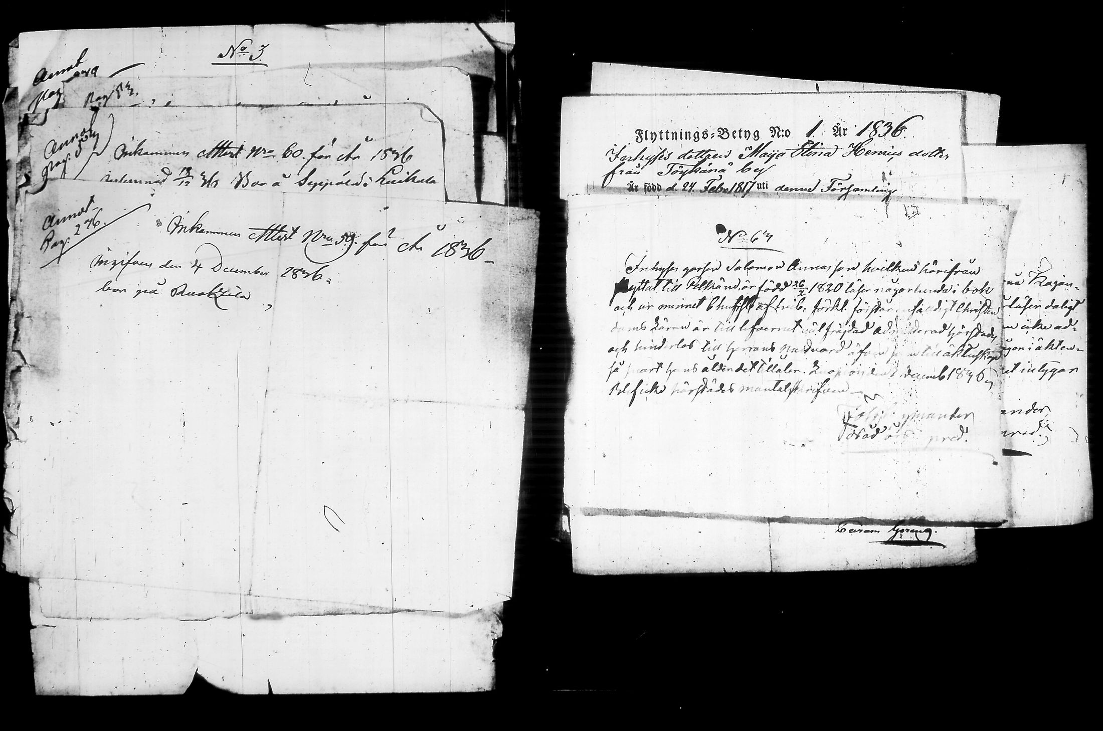 [ kuvat/187.jpg ]