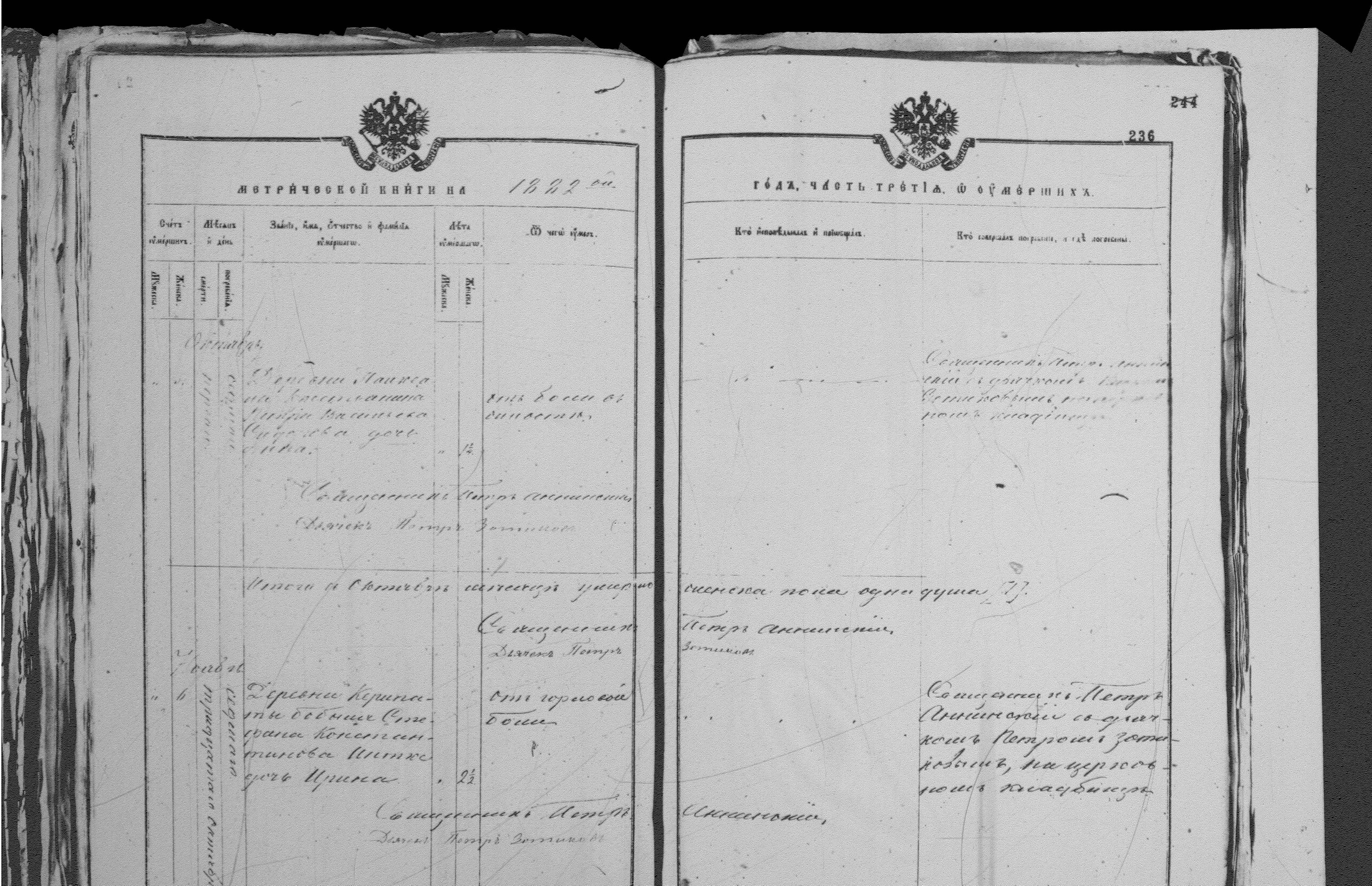 [ ../kirjat/Kirkonkirjat/palkealan_ortodoksinen/metrikka_1877-1885_mko3386-3397/kuvat/236.jpg ]