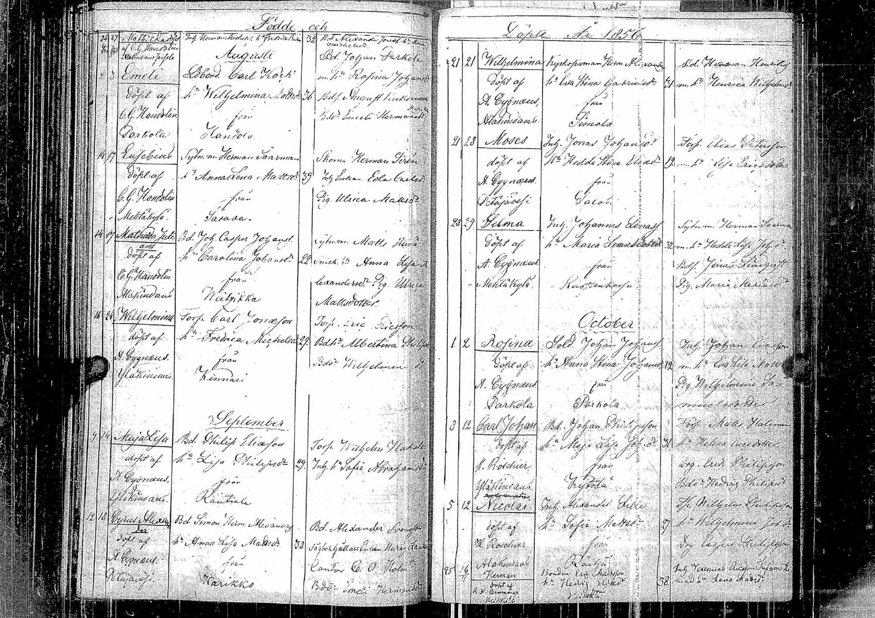 [ kuvat/107.jpg ]