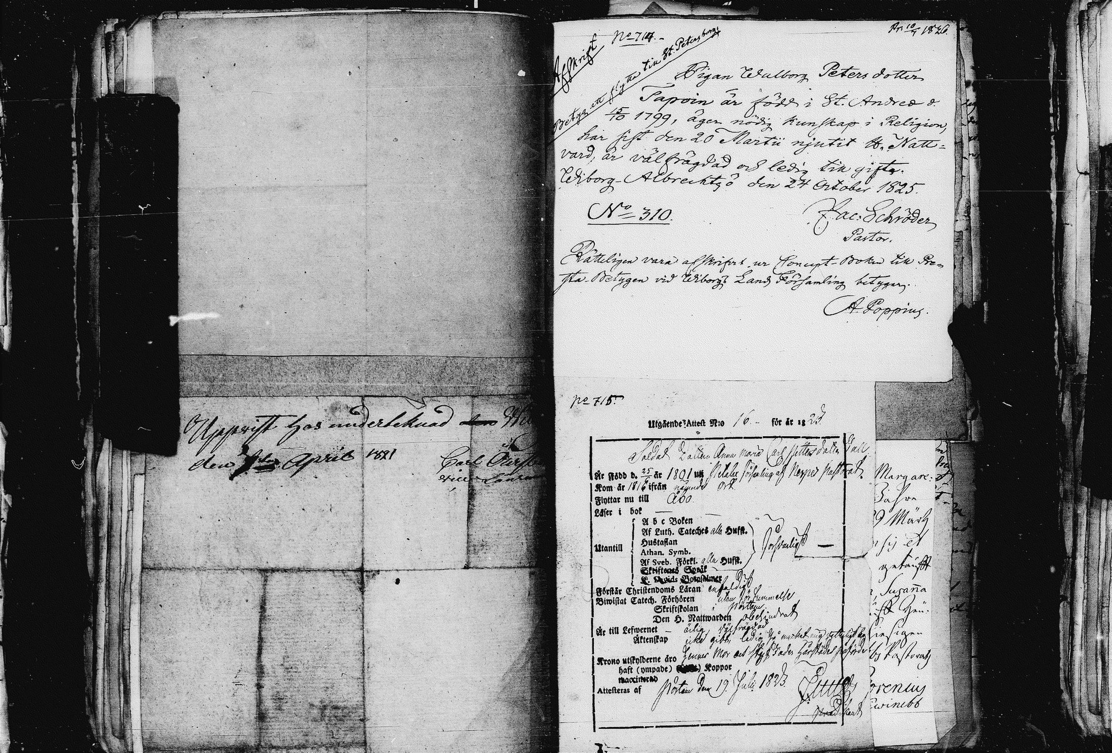 [ ../kirjat/Kirkonkirjat/pietarin_suomalainen_marian_srk/muuttokirjoja_1826-1828_es448-449/kuvat/146.jpg ]