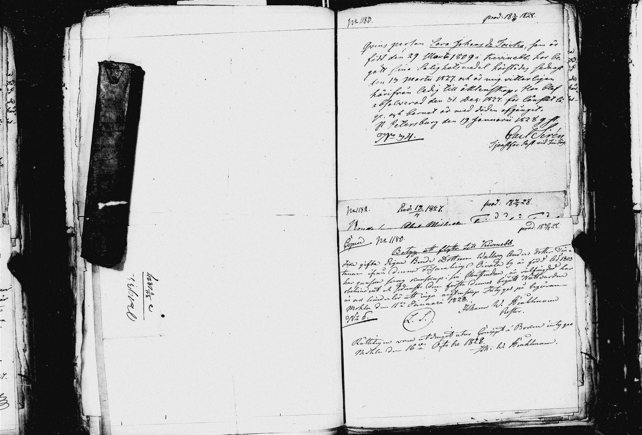 [ ../kirjat/Kirkonkirjat/pietarin_suomalainen_marian_srk/muuttokirjoja_1826-1828_es448-449/kuvat/495.jpg ]