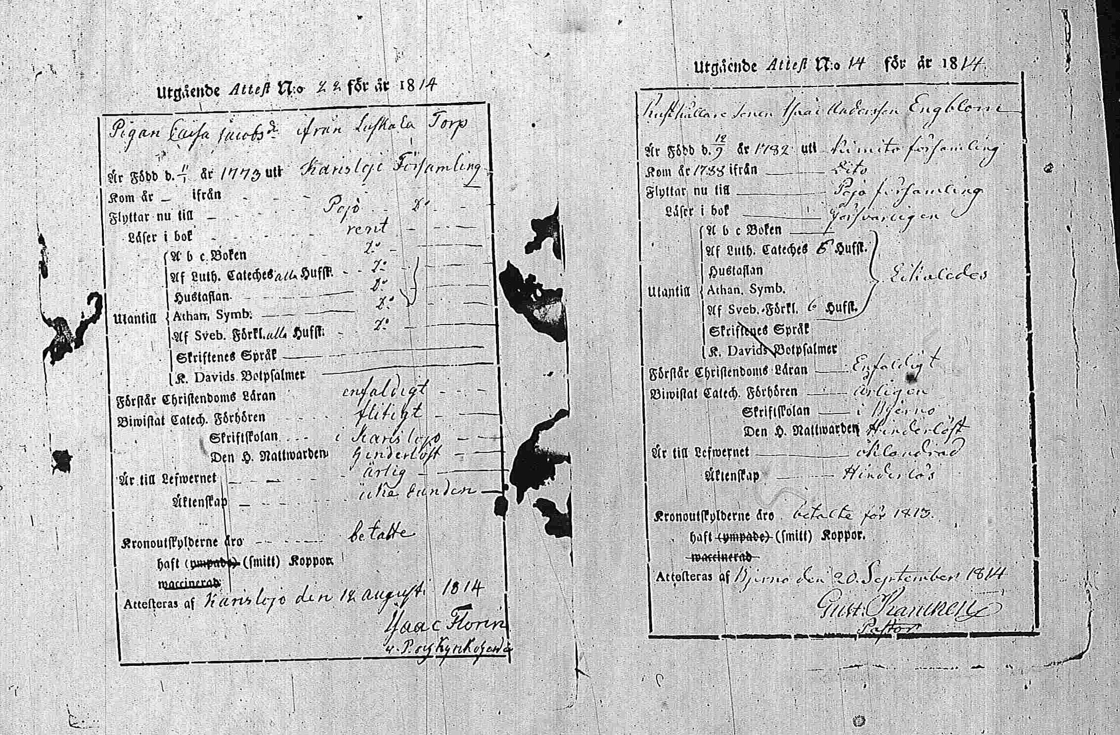 [ ../kirjat/Kirkonkirjat/pohja/muuttokirjoja_1810-1819_es117-118/kuvat/247.jpg ]