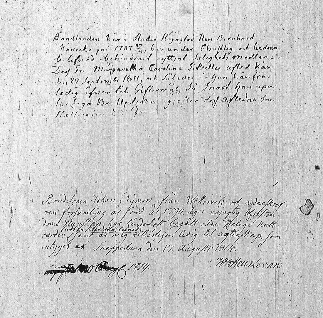 [ ../kirjat/Kirkonkirjat/pohja/muuttokirjoja_1810-1819_es117-118/kuvat/249.jpg ]