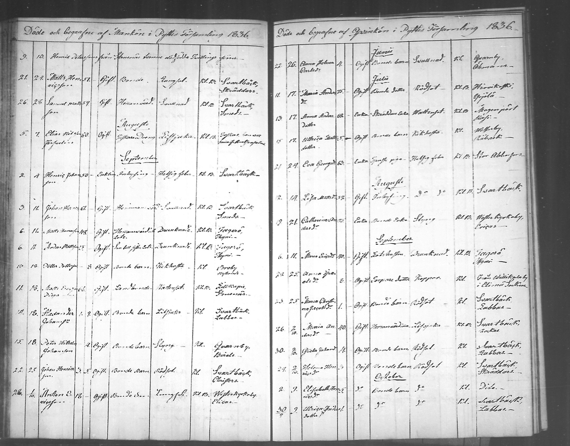 [ ../kirjat/Kirkonkirjat/pyhtaa/kuolleet_1824-1889_mko330-335/kuvat/48.jpg ]