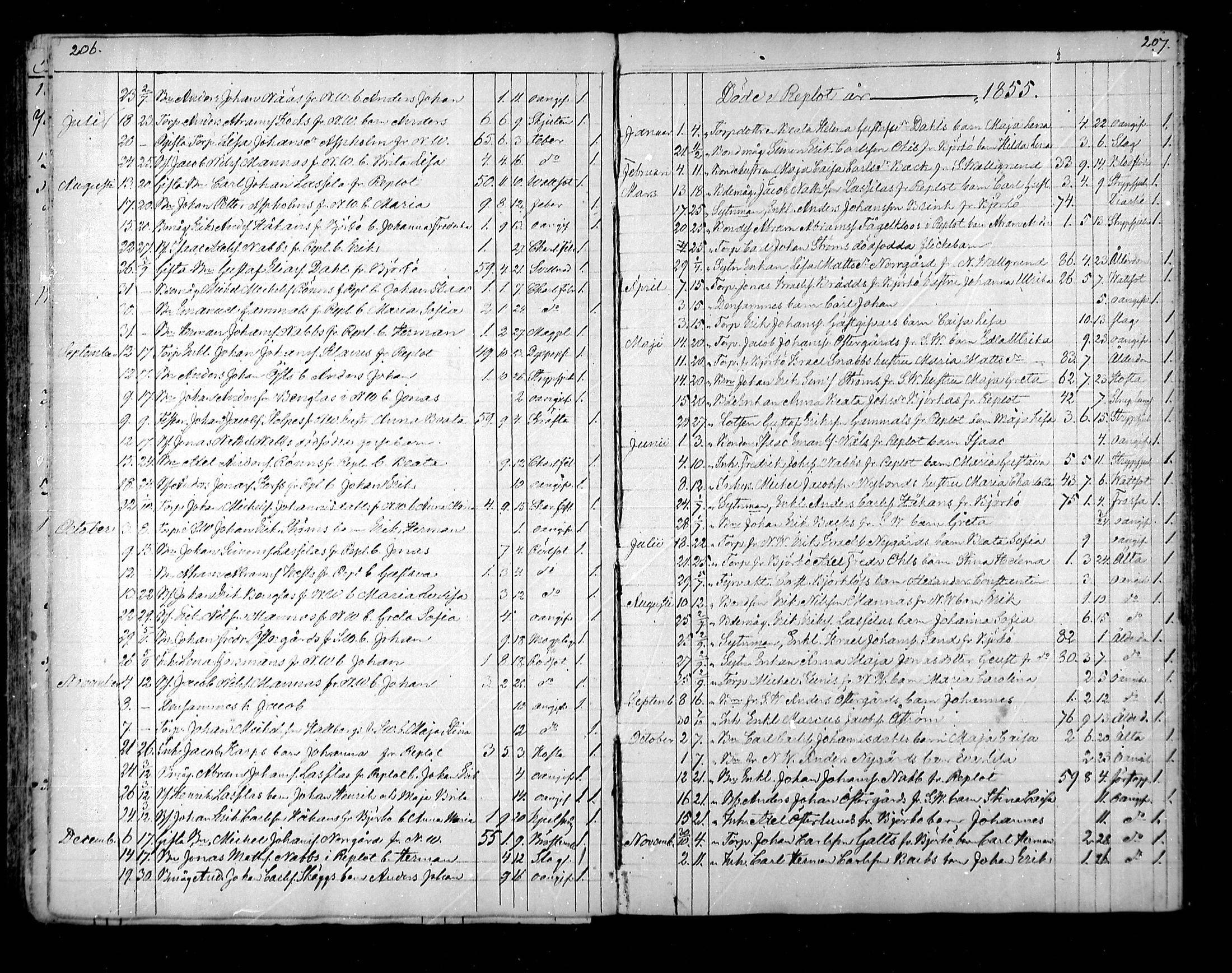 [ ../kirjat/Kirkonkirjat/raippaluoto/kuolleet_1839-1890_mko82-84/kuvat/13.jpg ]