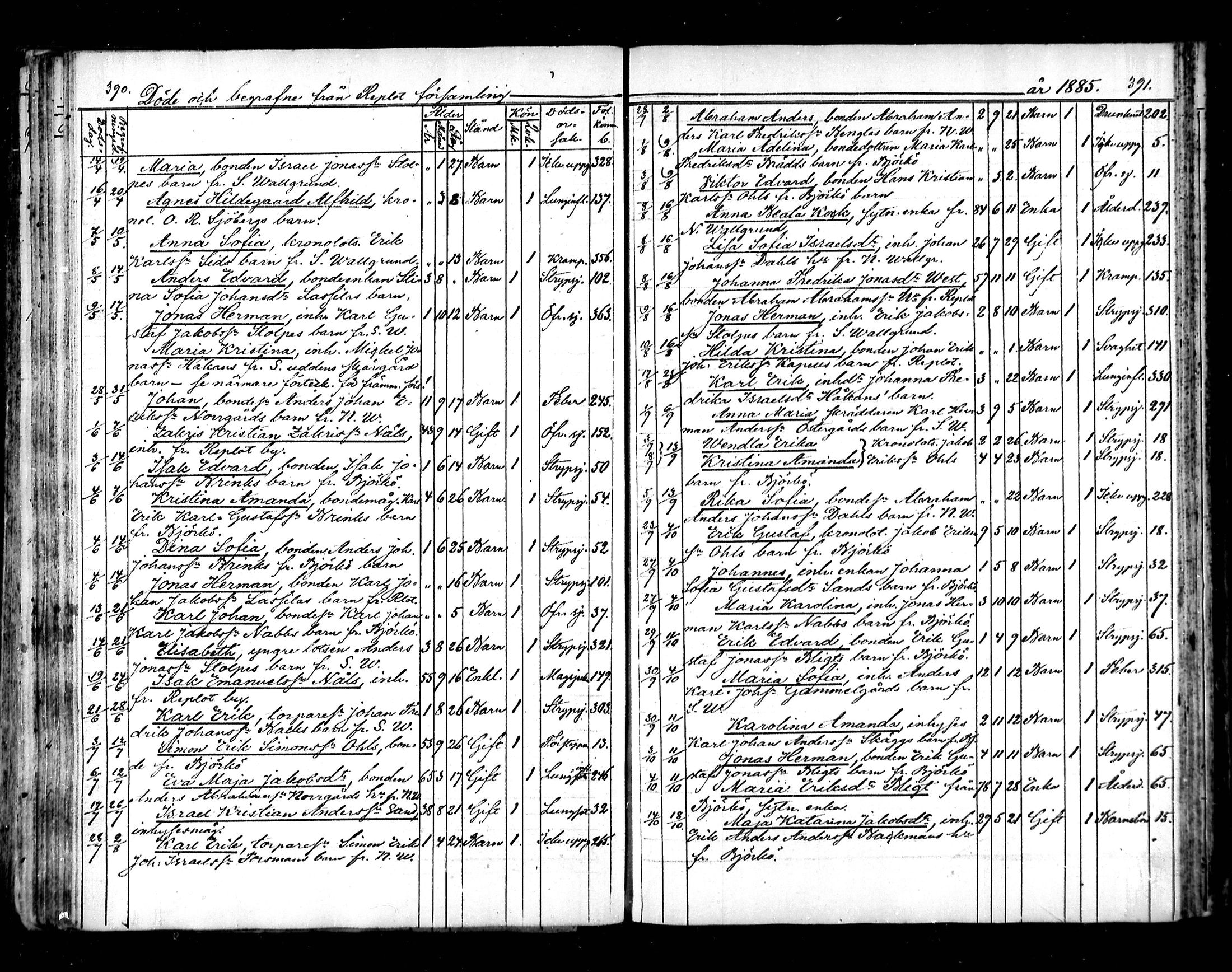 [ ../kirjat/Kirkonkirjat/raippaluoto/kuolleet_1839-1890_mko82-84/kuvat/56.jpg ]